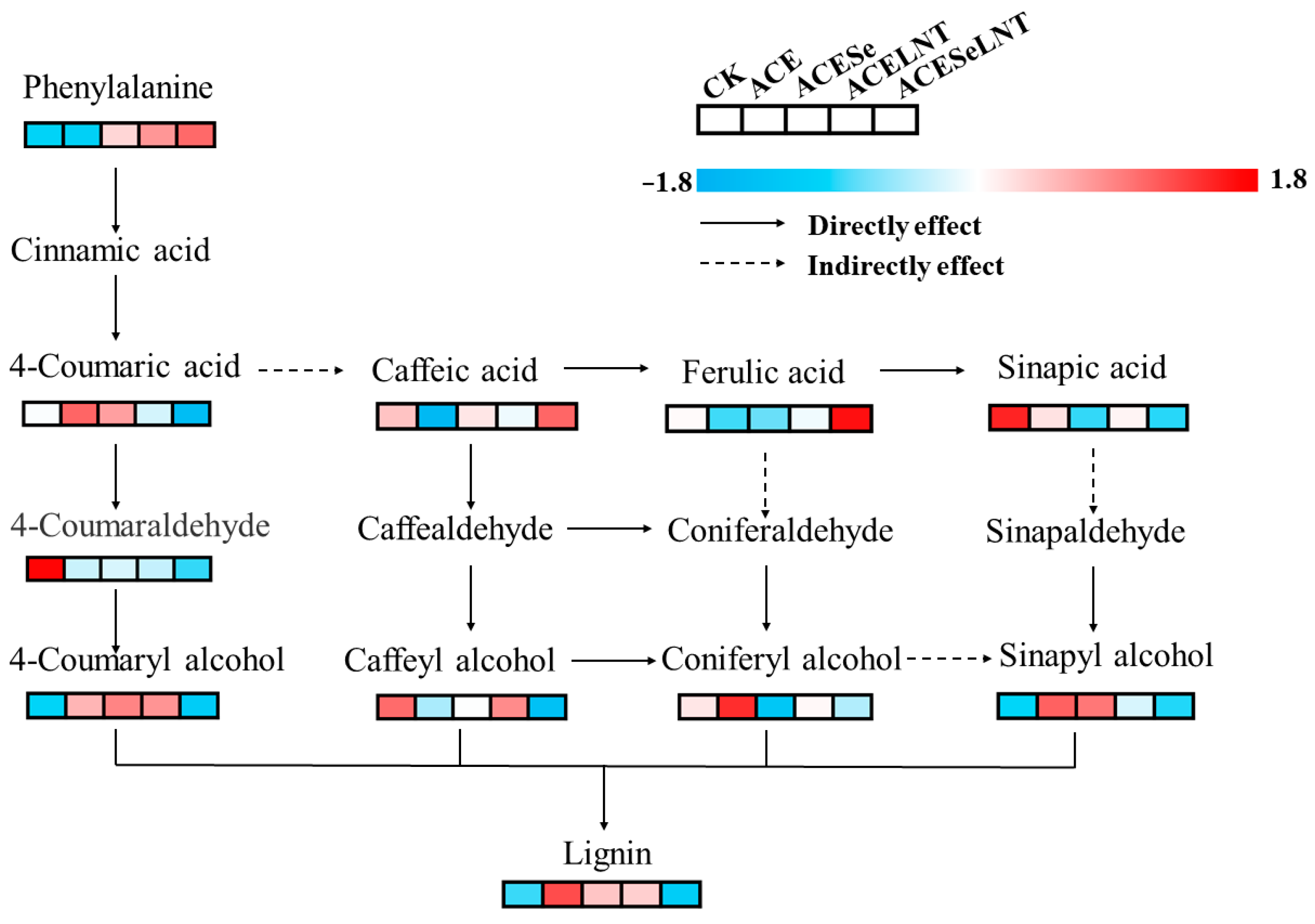 Plants 12 02781 g009 Plants 12 02781 g009