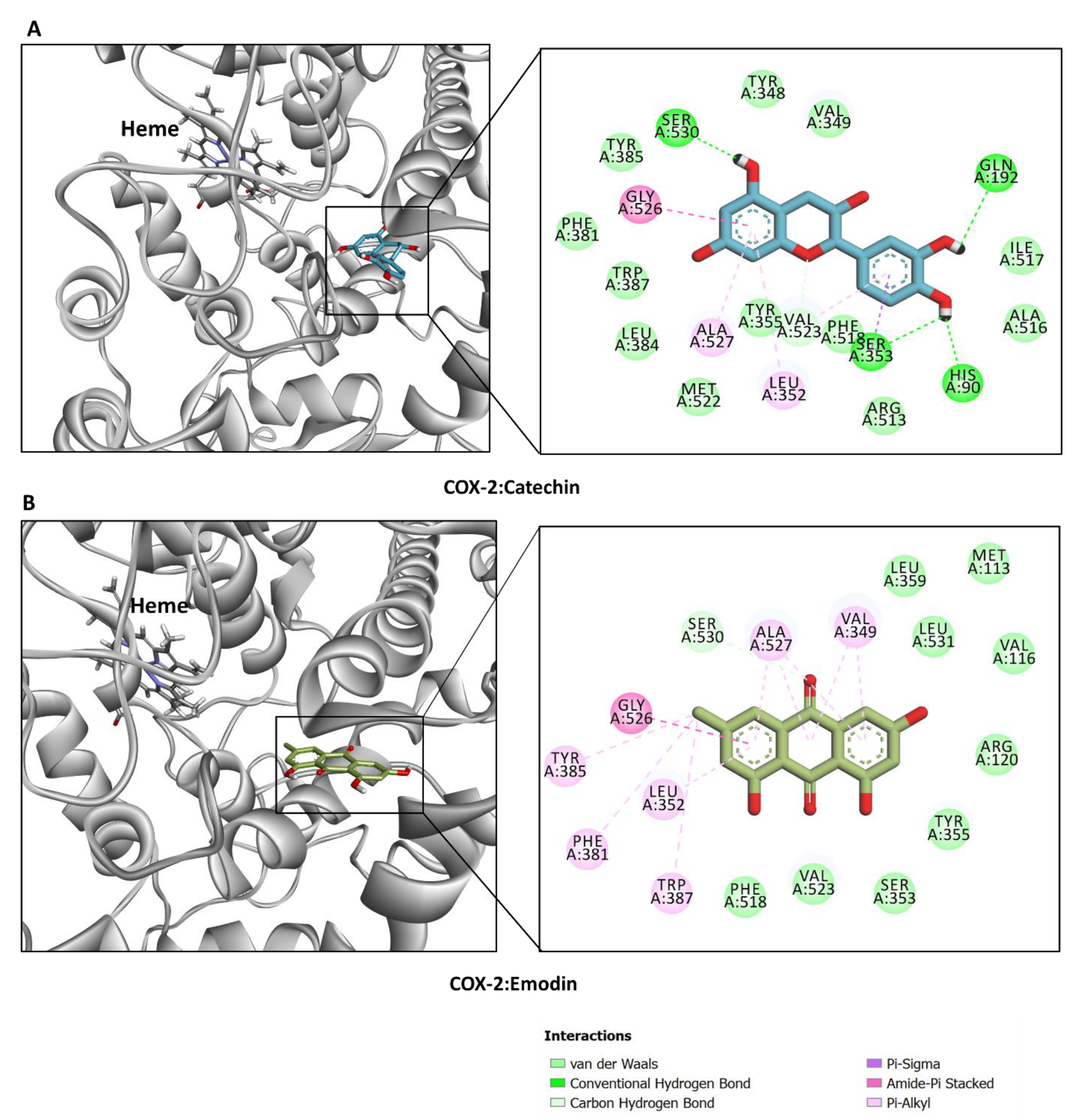 Plants 12 02785 g006