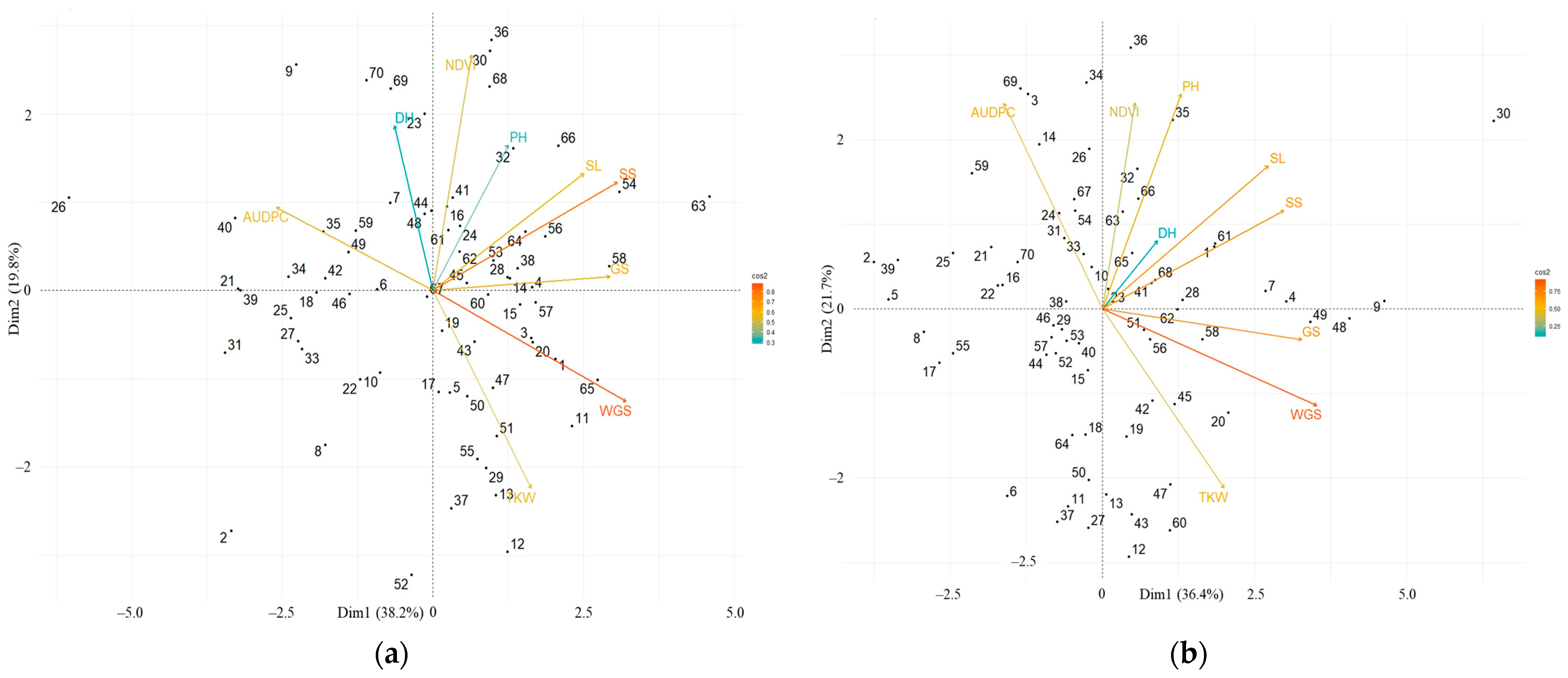 Plants 12 02786 g003 Plants 12 02786 g003