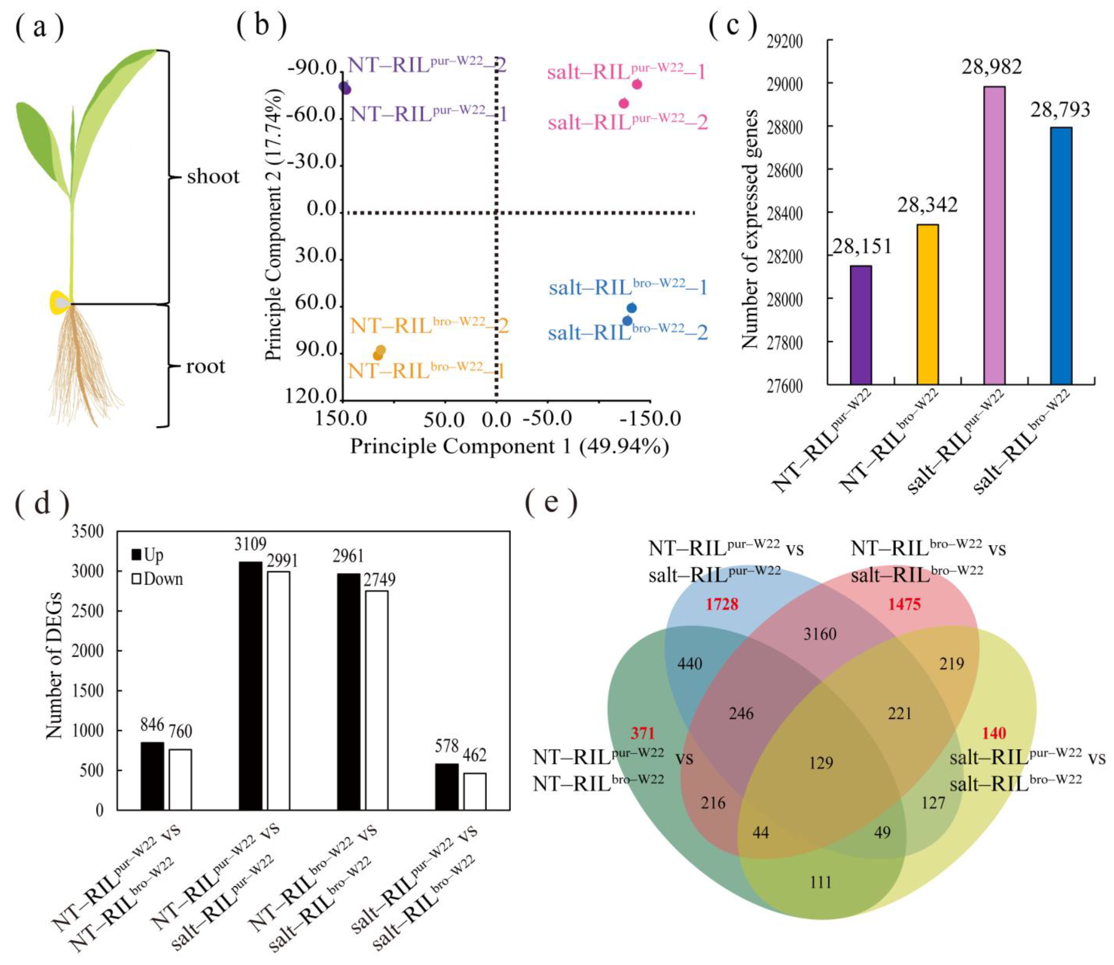Plants 12 02793 g002 Plants 12 02793 g002