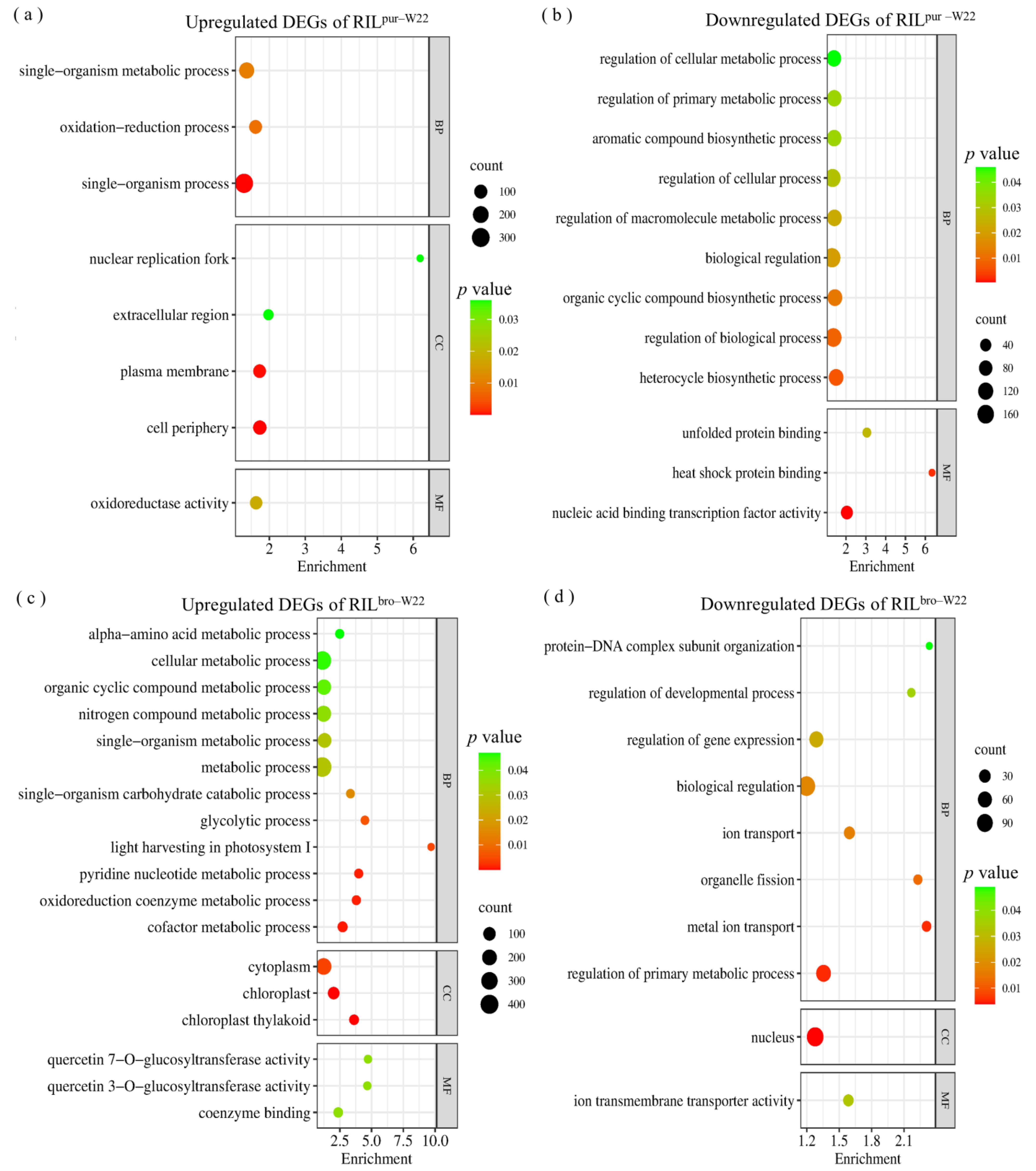 Plants 12 02793 g004 Plants 12 02793 g004