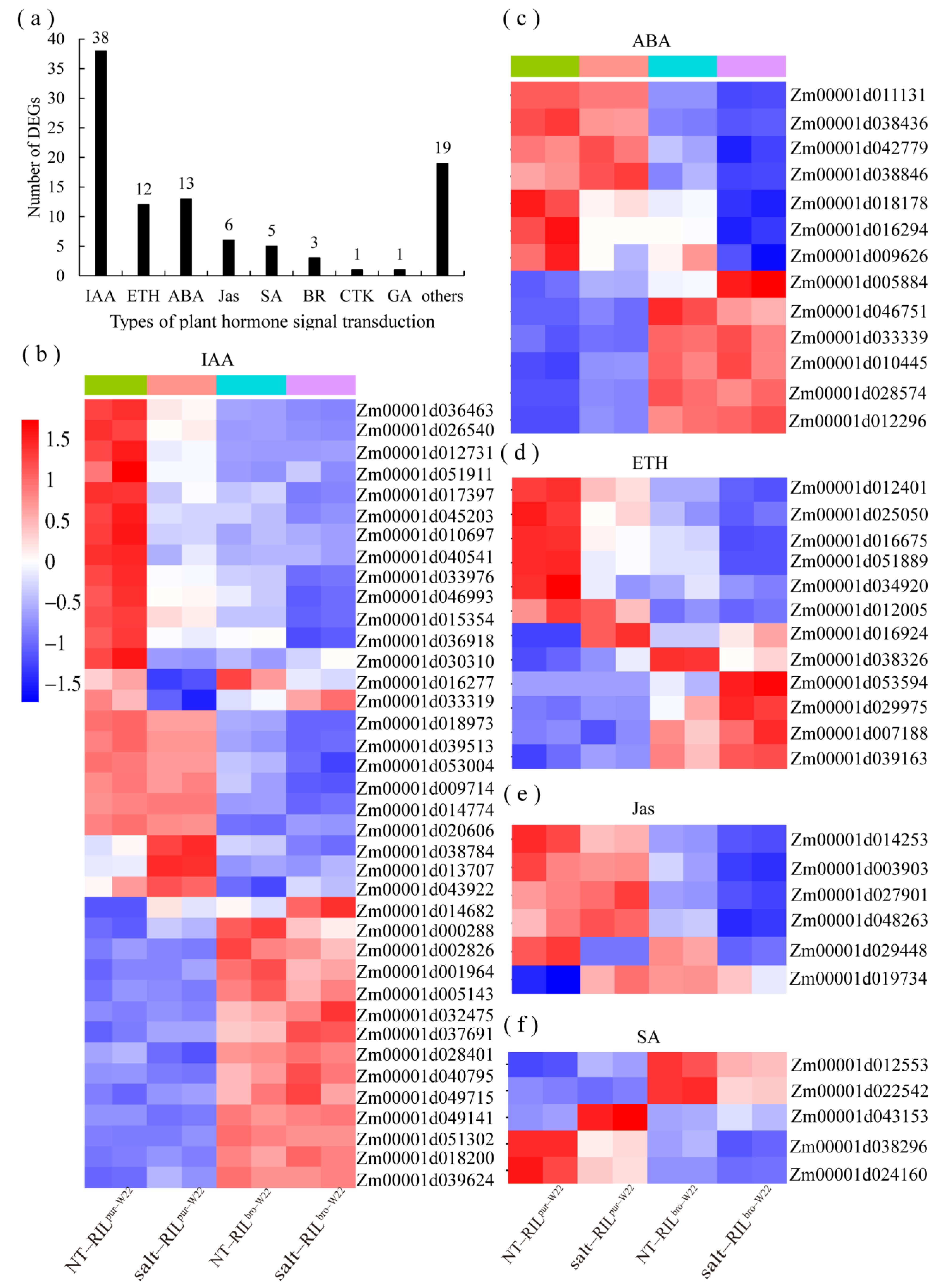 Plants | Free Full-Text | Transcriptome Analysis Revealed the 