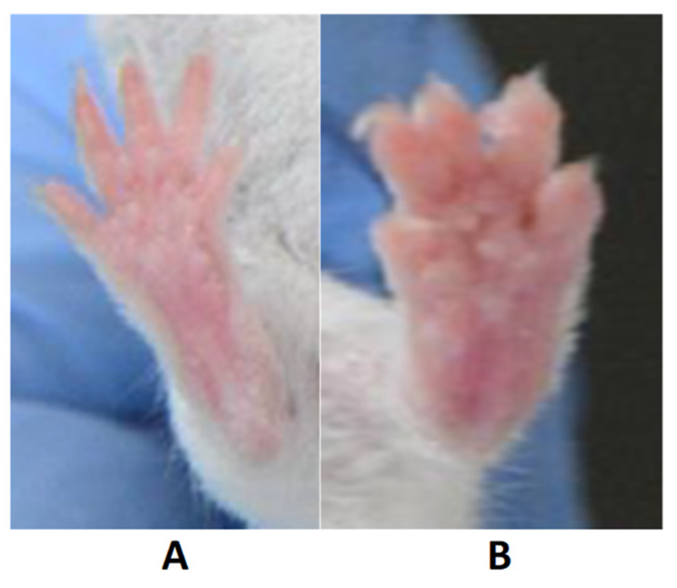 Plants 12 02795 g001