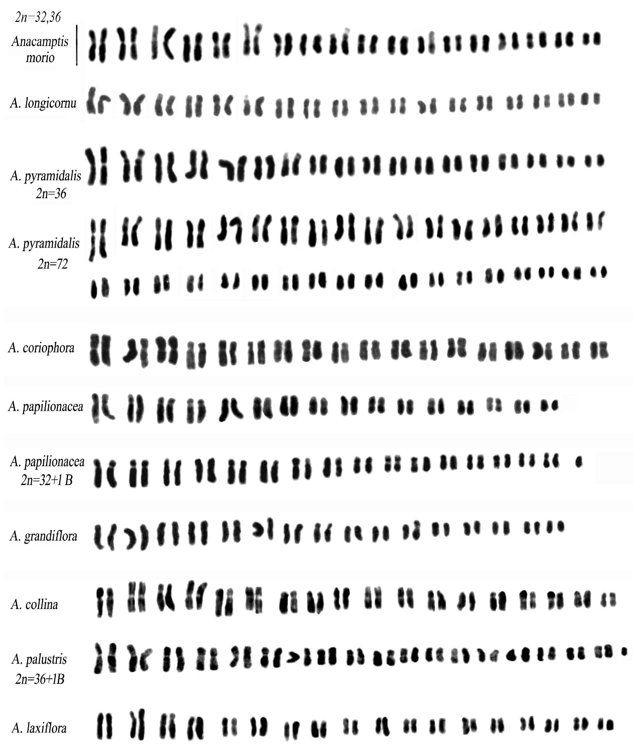 Plants 12 02798 g002 Plants 12 02798 g002