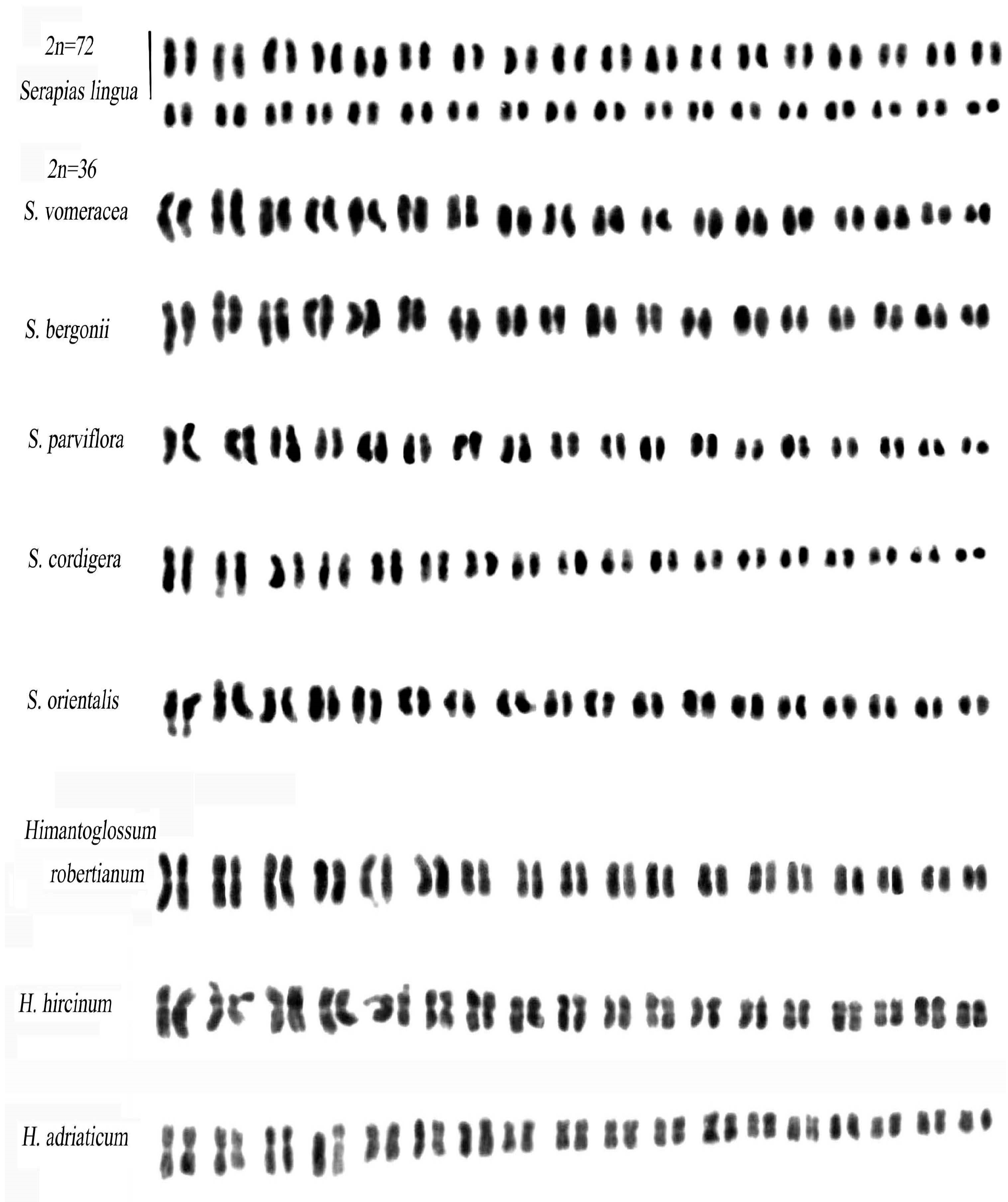 Plants 12 02798 g004 Plants 12 02798 g004