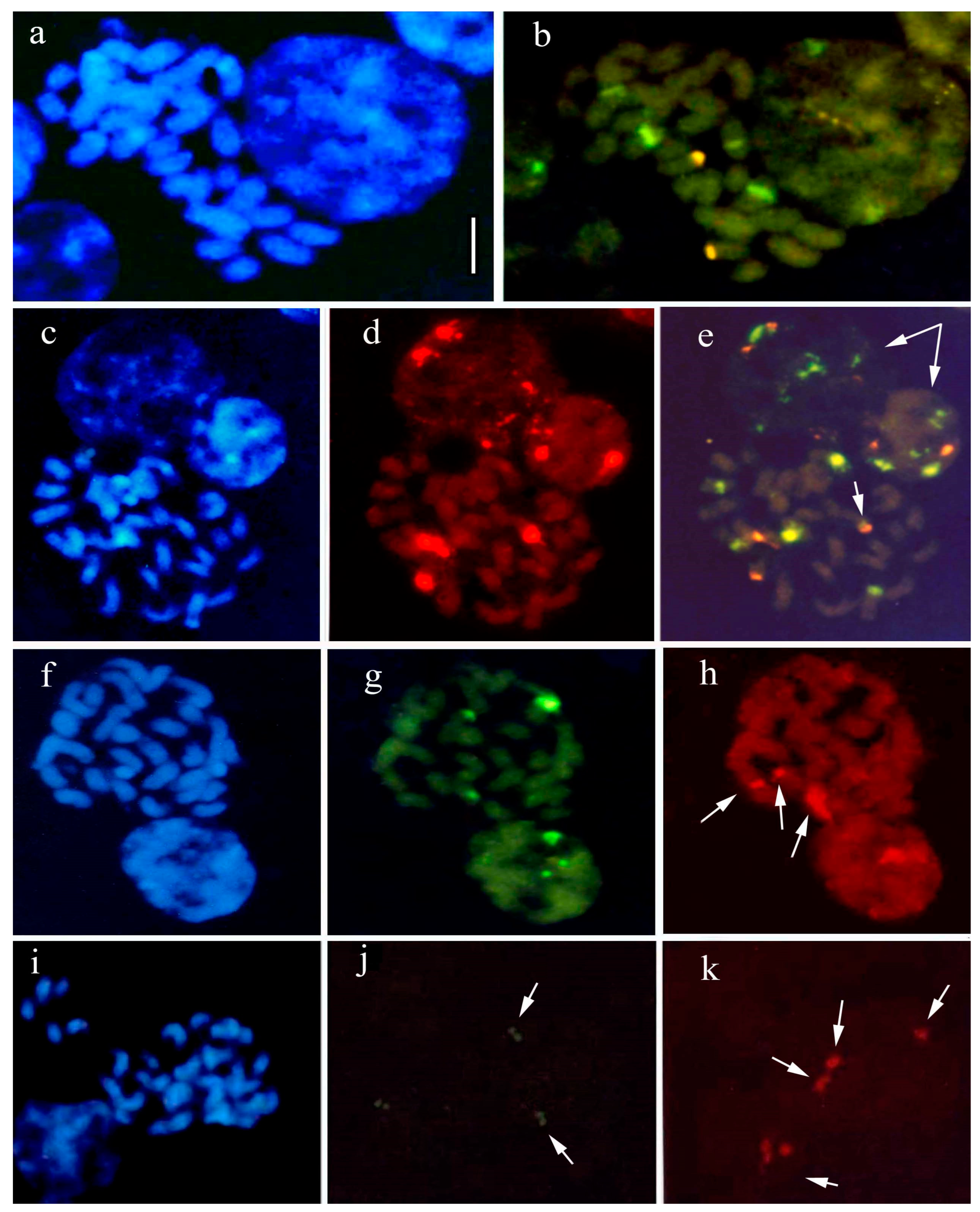 Plants 12 02798 g009 Plants 12 02798 g009