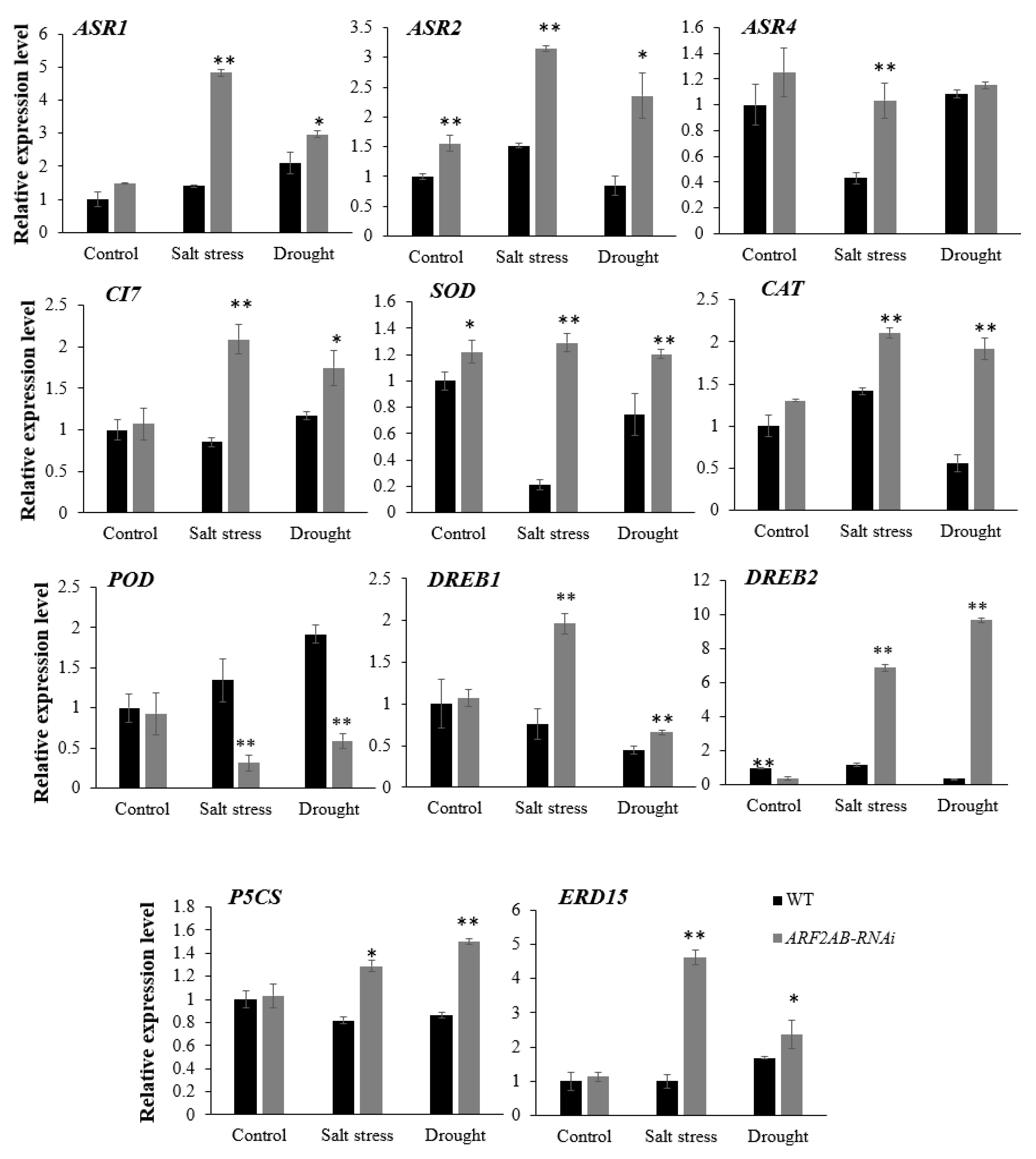 Plants 12 02804 g008