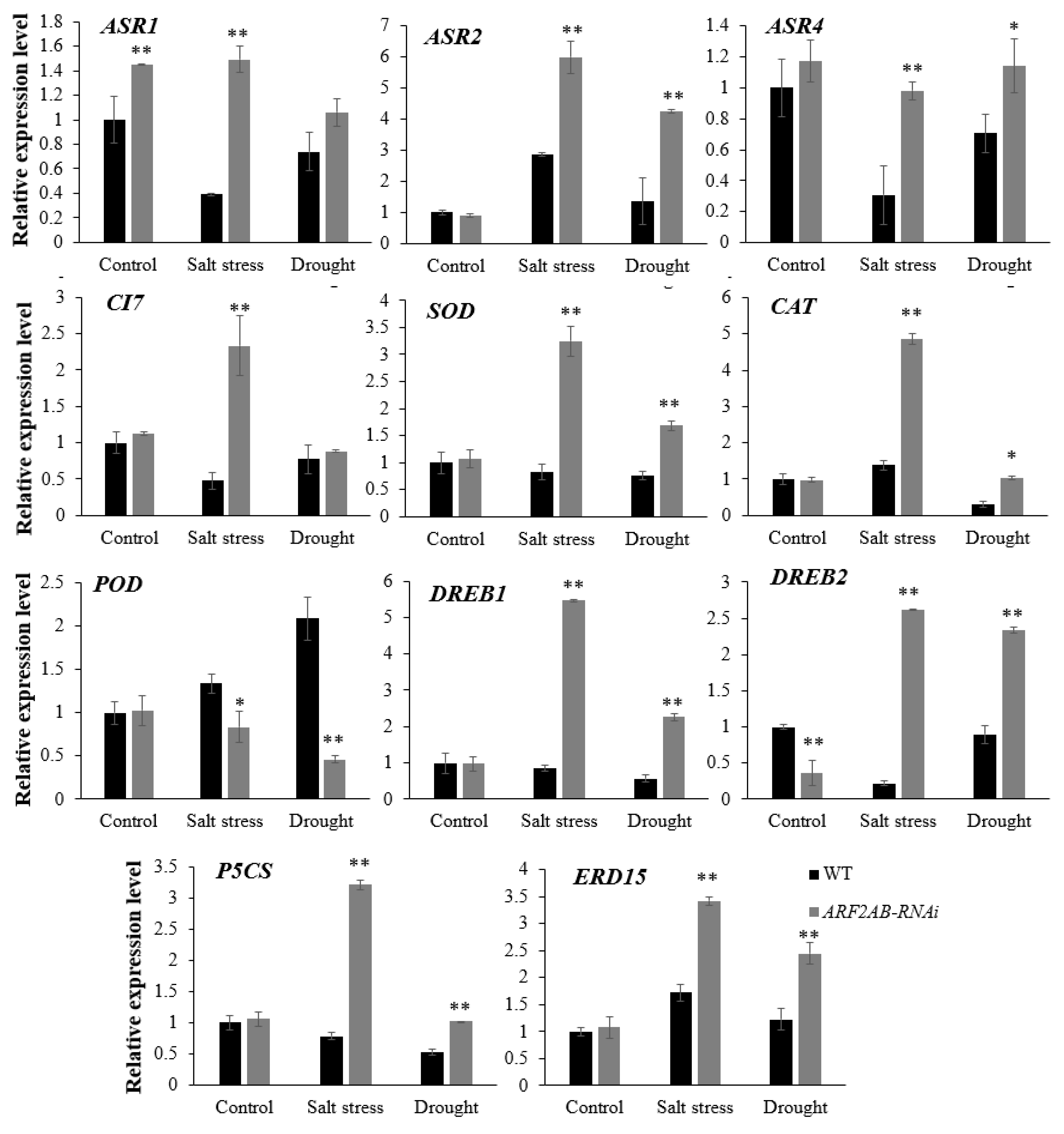 Plants 12 02804 g009