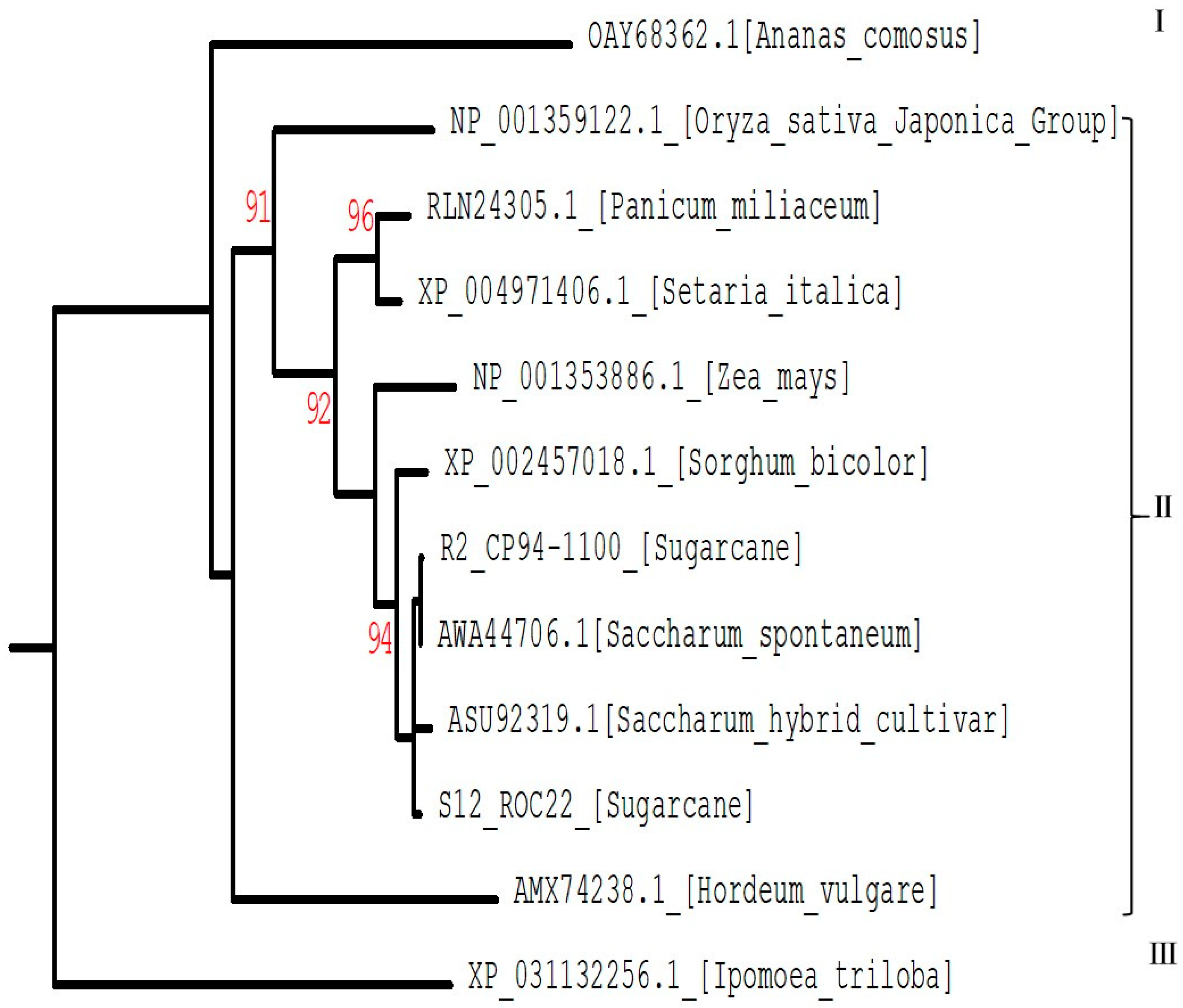 Plants 12 02805 g007 Plants 12 02805 g007