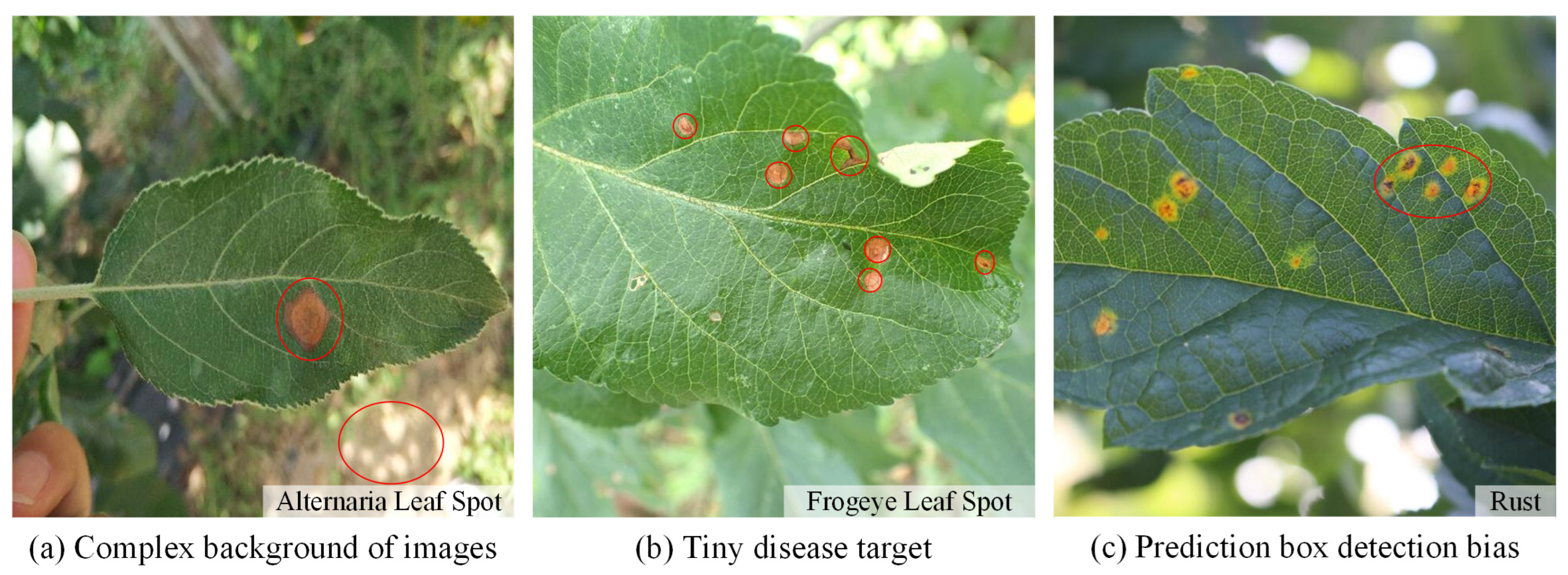 Plants 12 02806 g001