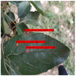 Plants 12 02806 i007