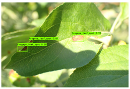 Plants 12 02806 i009