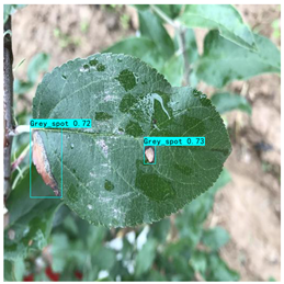 Plants 12 02806 i010