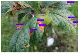 Plants 12 02806 i012