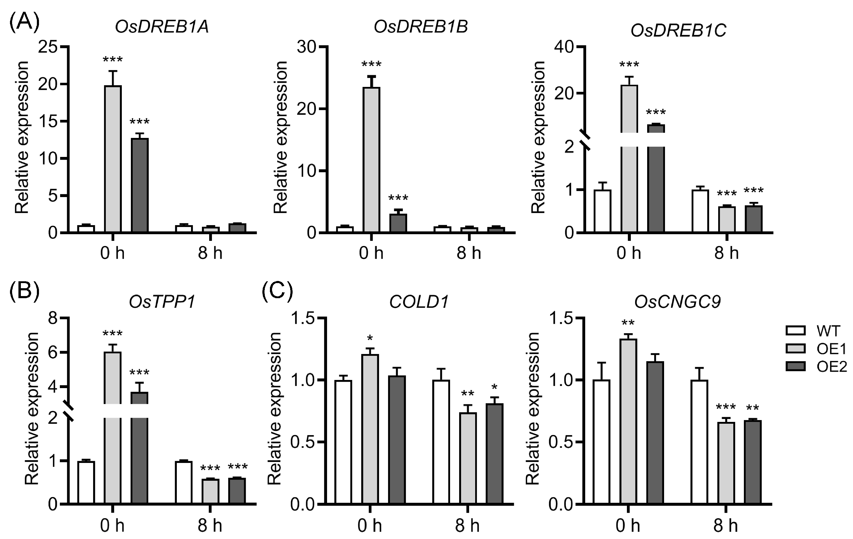 Plants 12 02809 g007