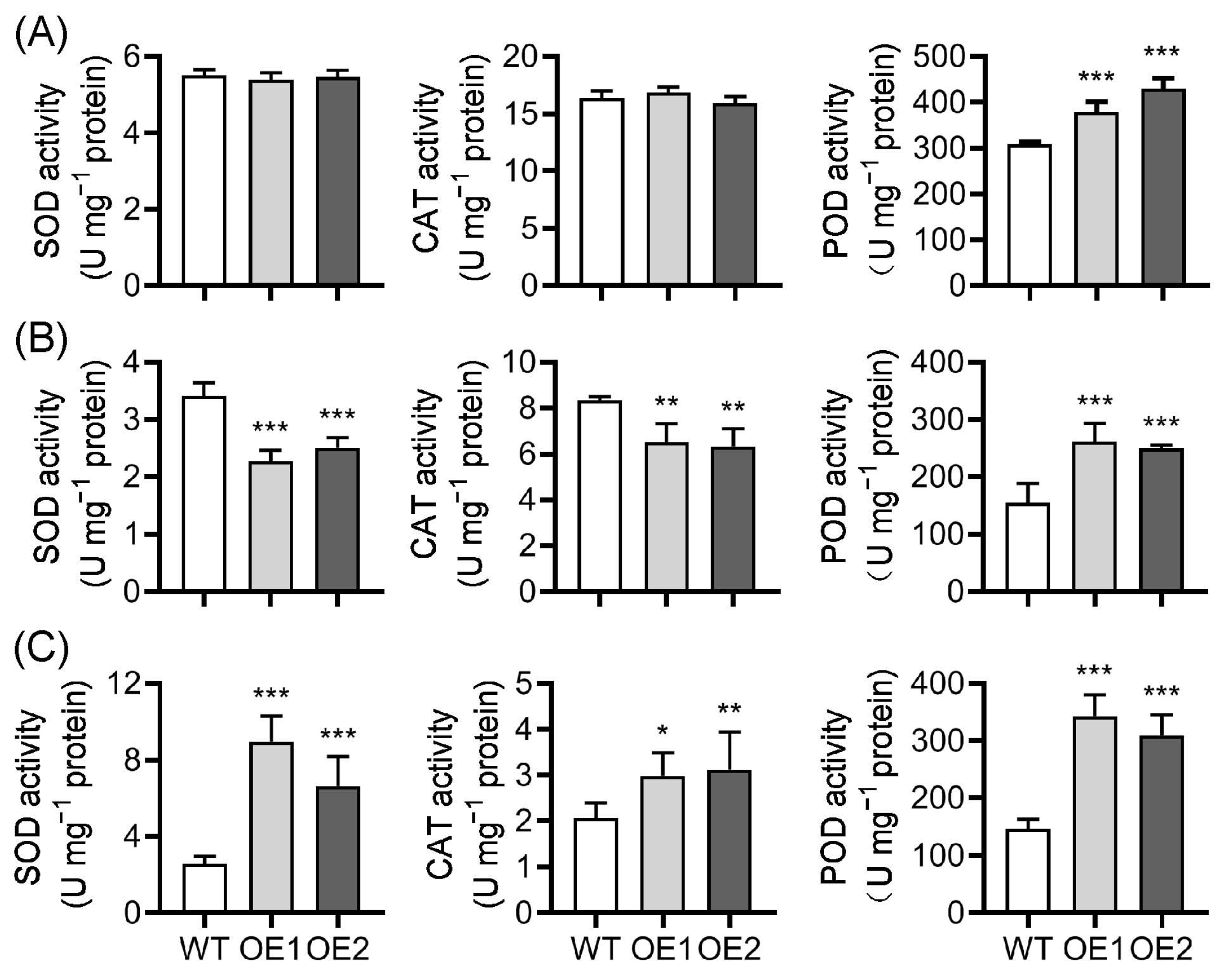 Plants 12 02809 g009