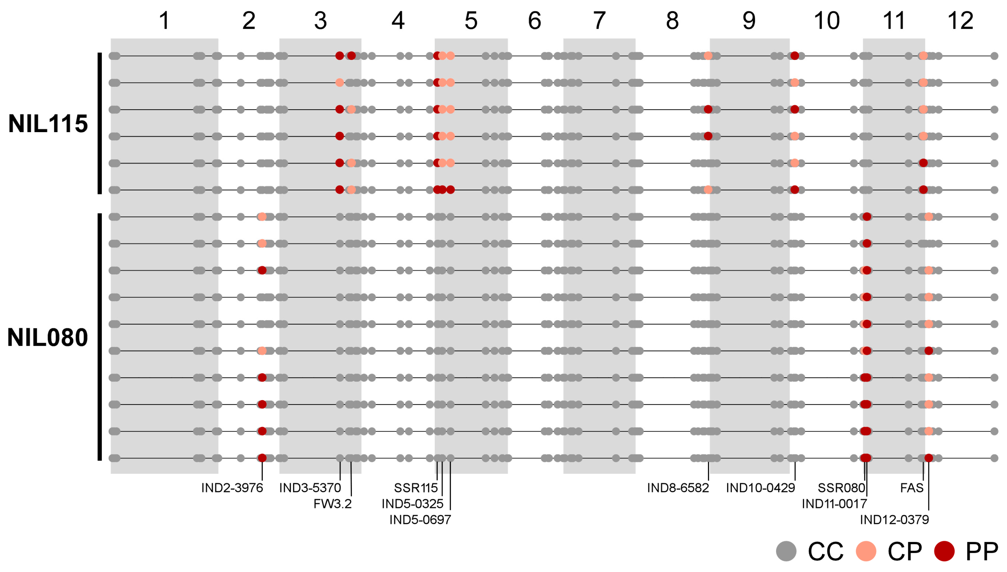 Plants 12 02812 g002 Plants 12 02812 g002