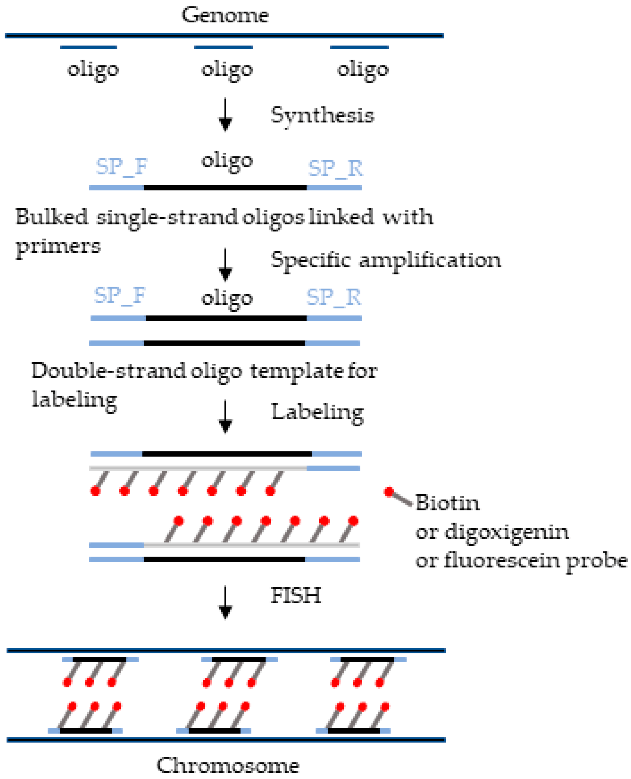 Plants 12 02816 g002