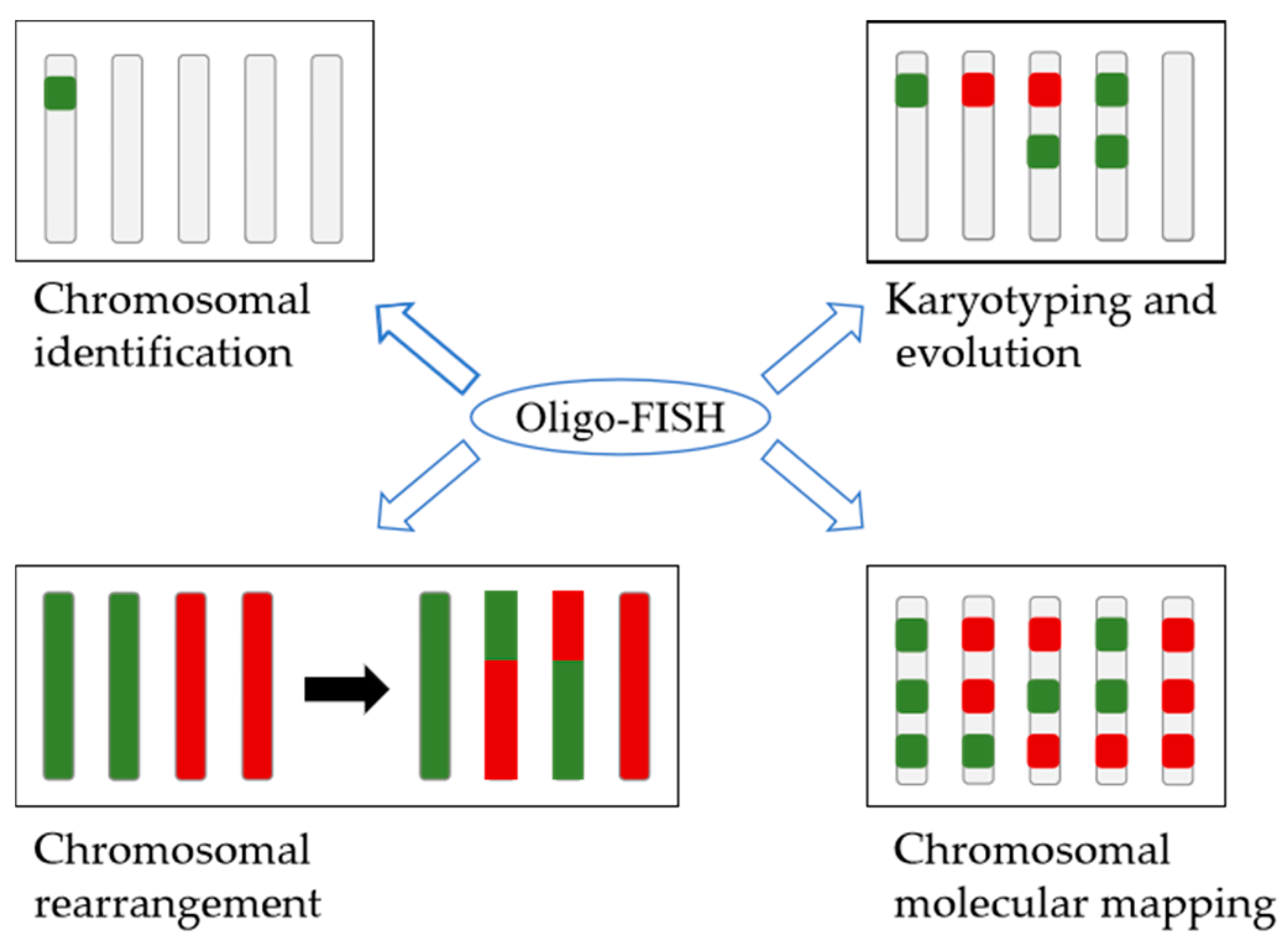 Plants 12 02816 g003