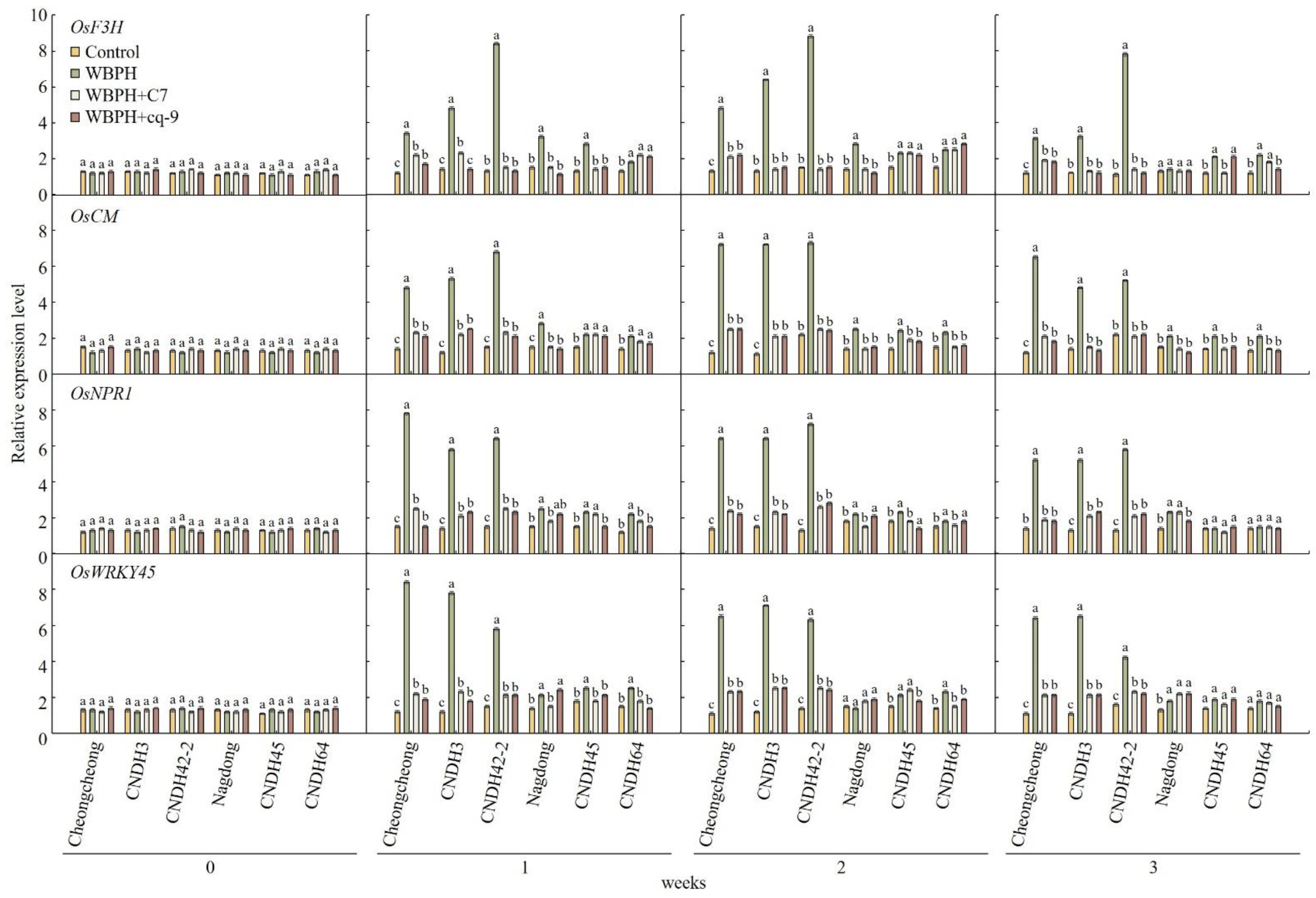 Plants 12 02821 g006