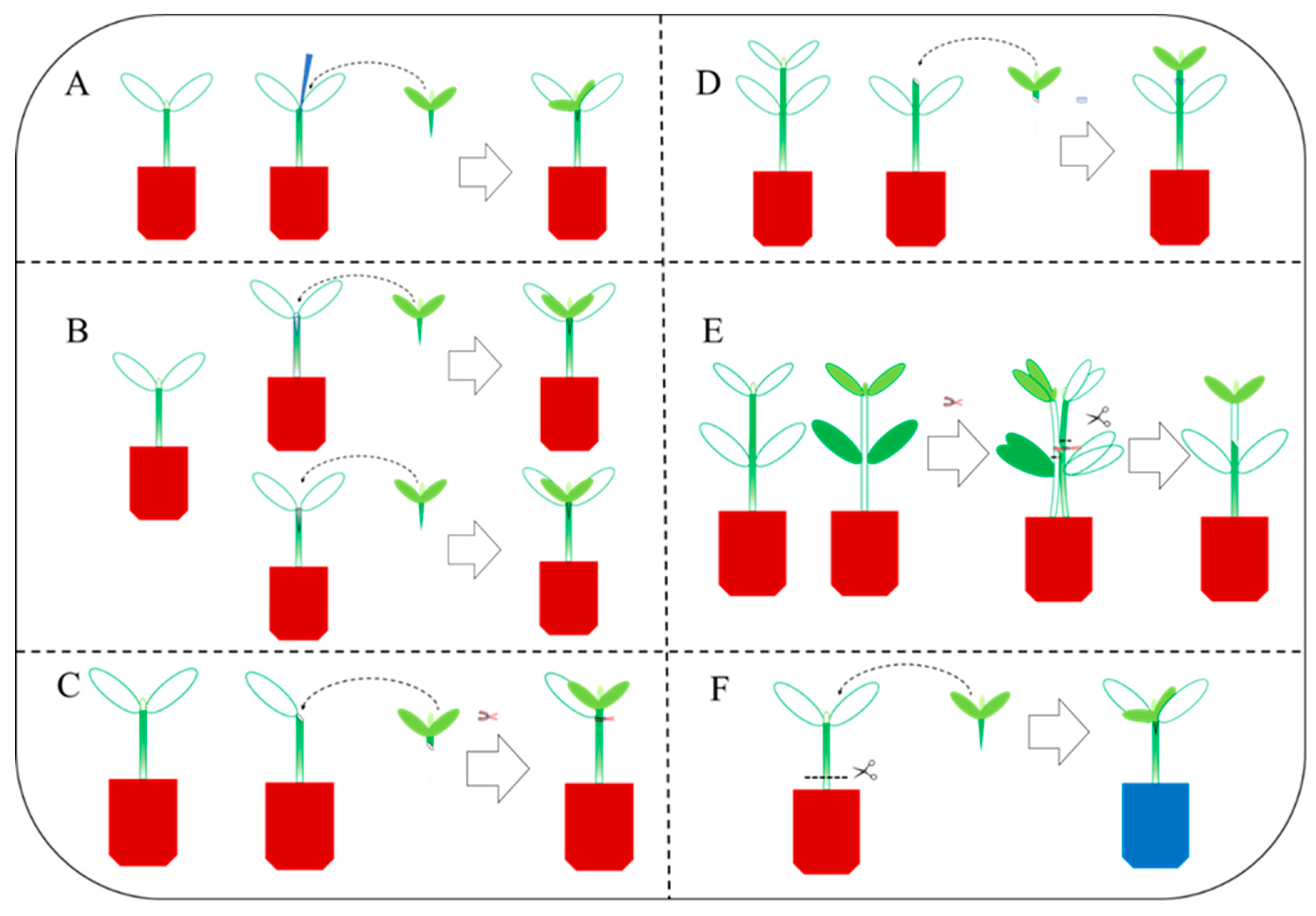 Plants 12 02822 g001 Plants 12 02822 g001