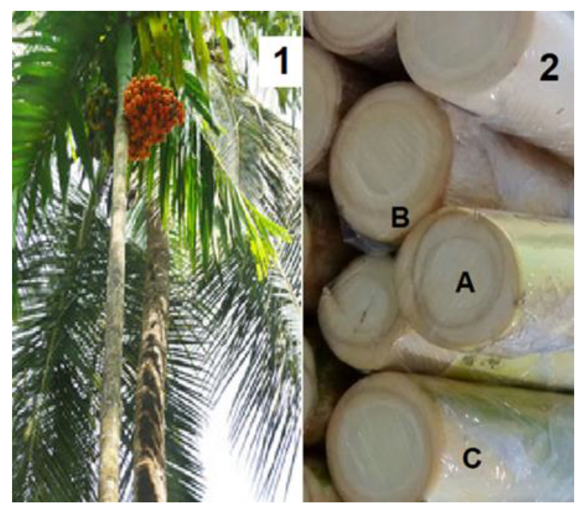 Plants 12 02824 g001 Plants 12 02824 g001