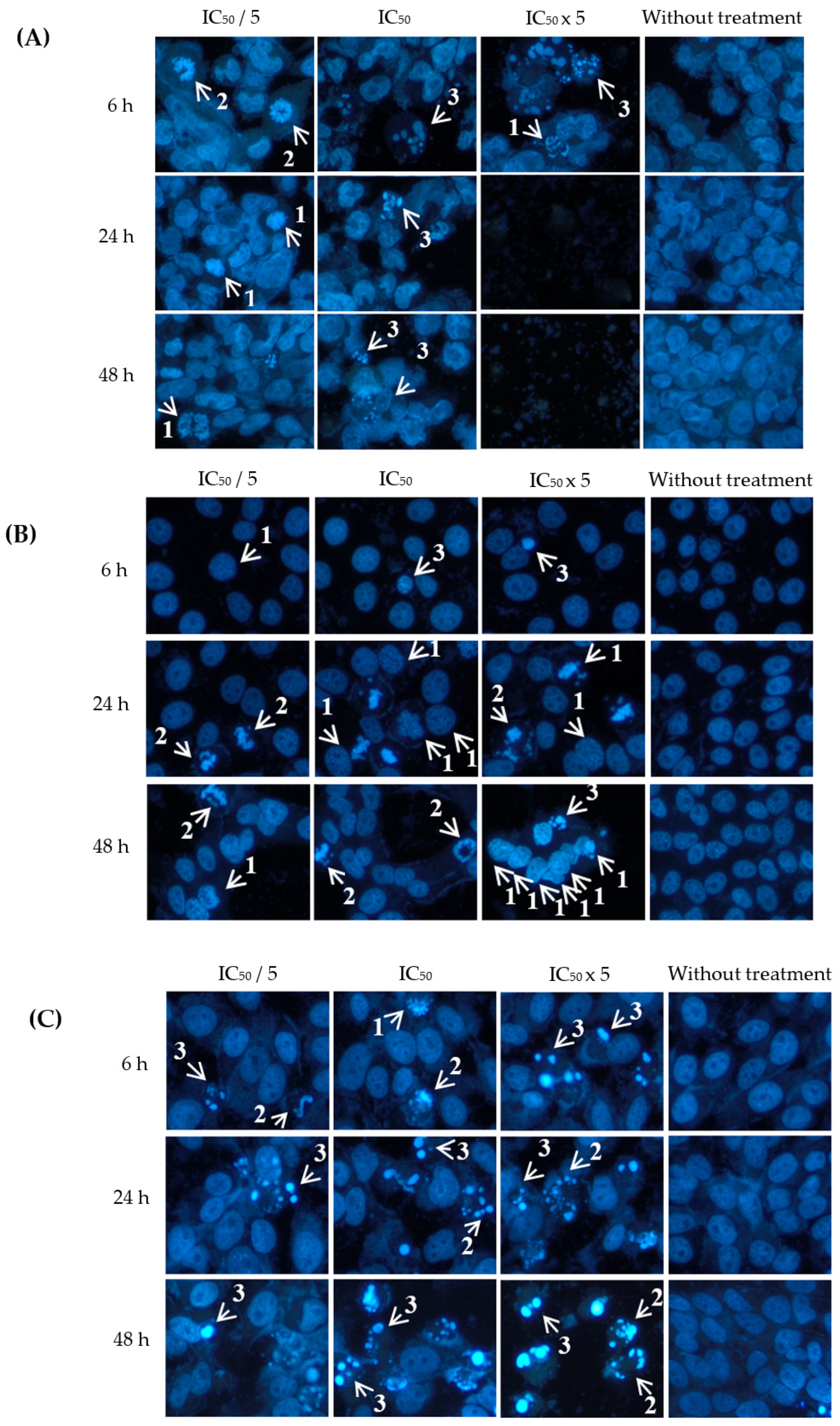 Plants 12 02827 g004 Plants 12 02827 g004