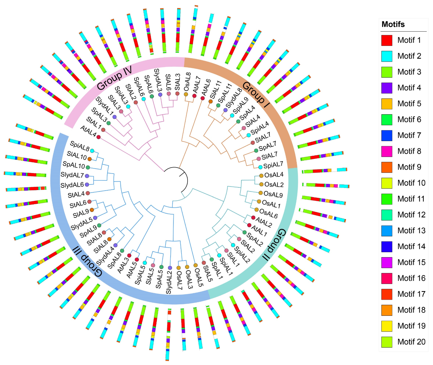 Plants 12 02829 g001
