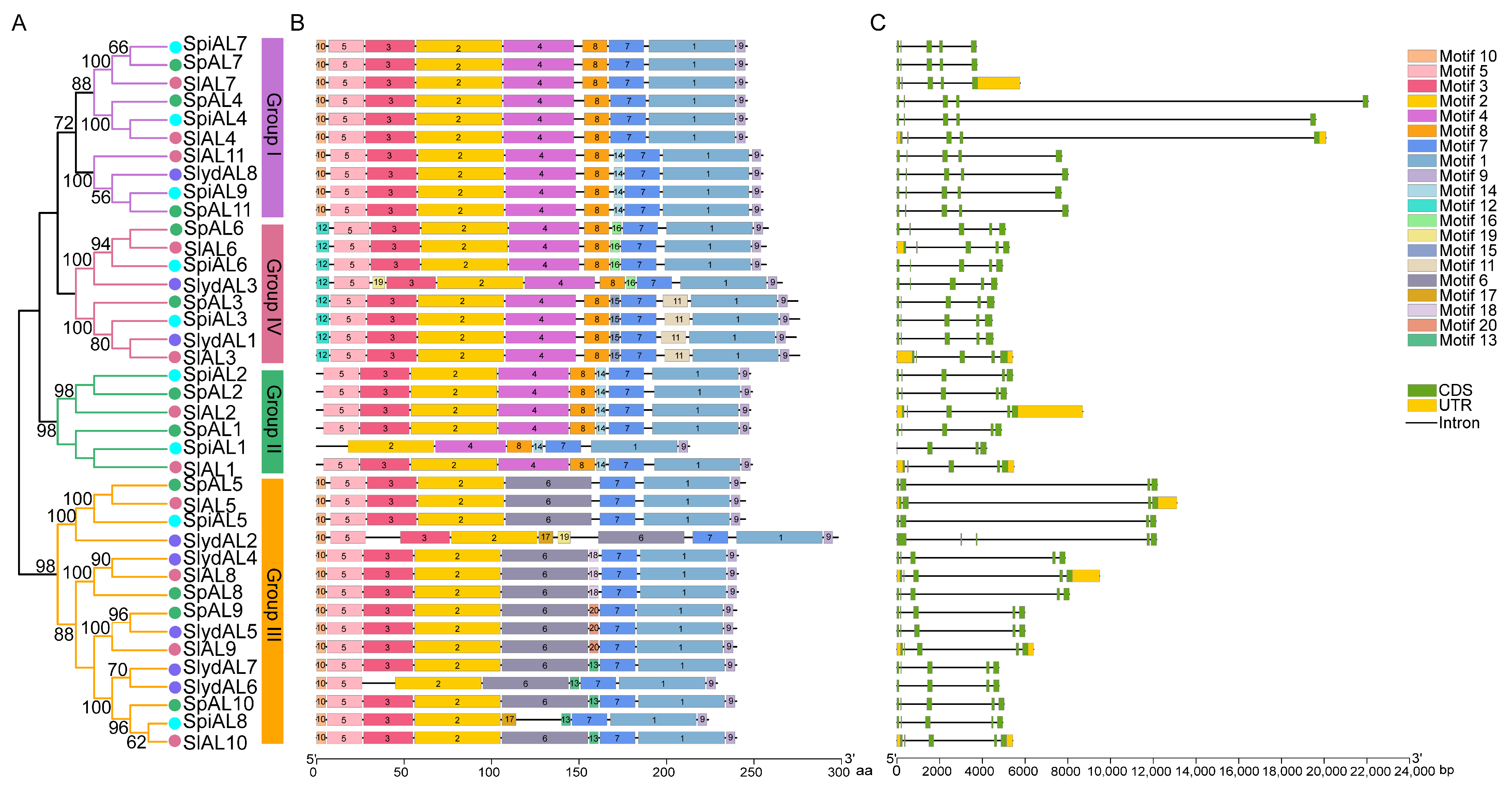 Plants 12 02829 g002