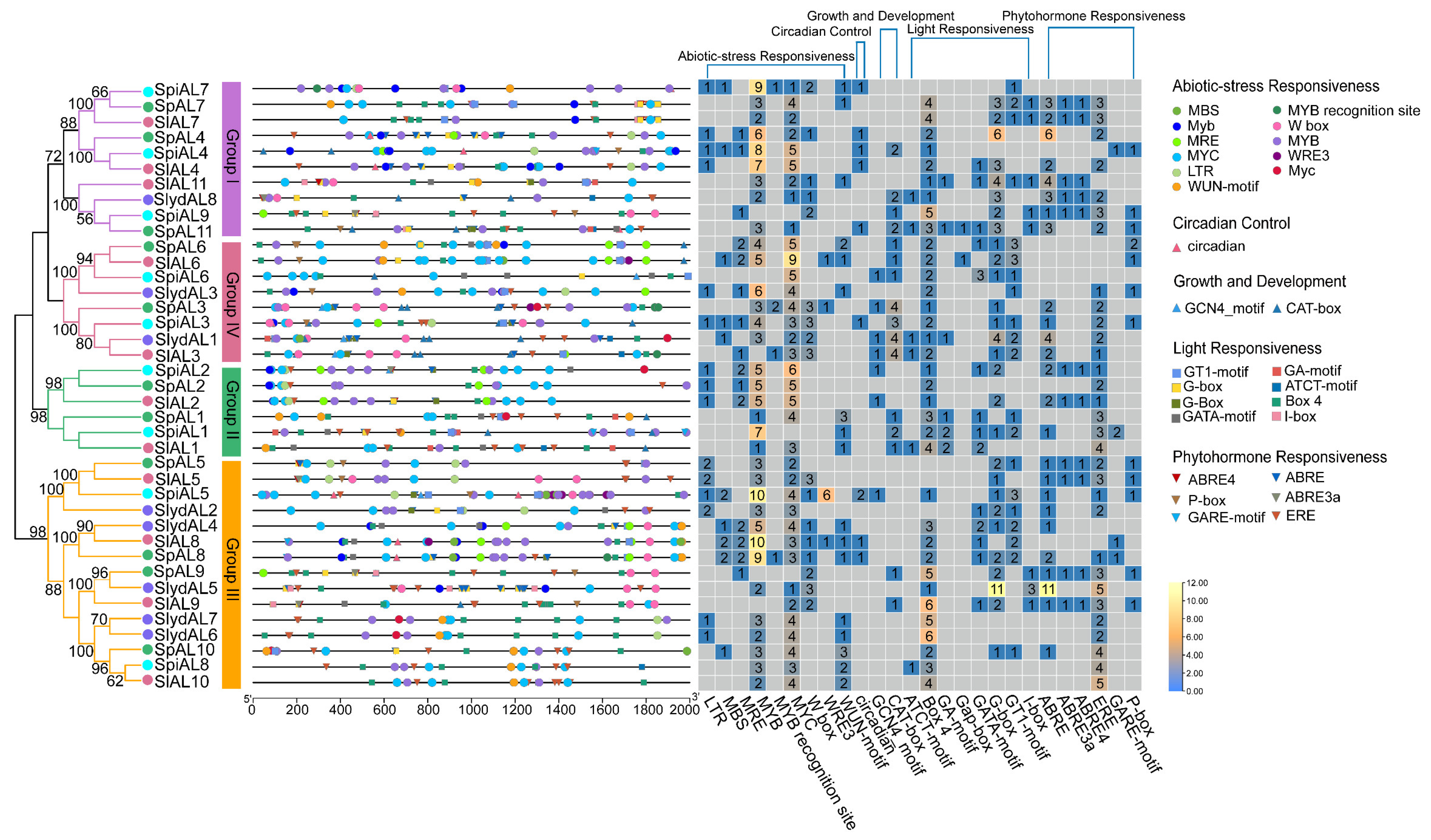 Plants 12 02829 g003