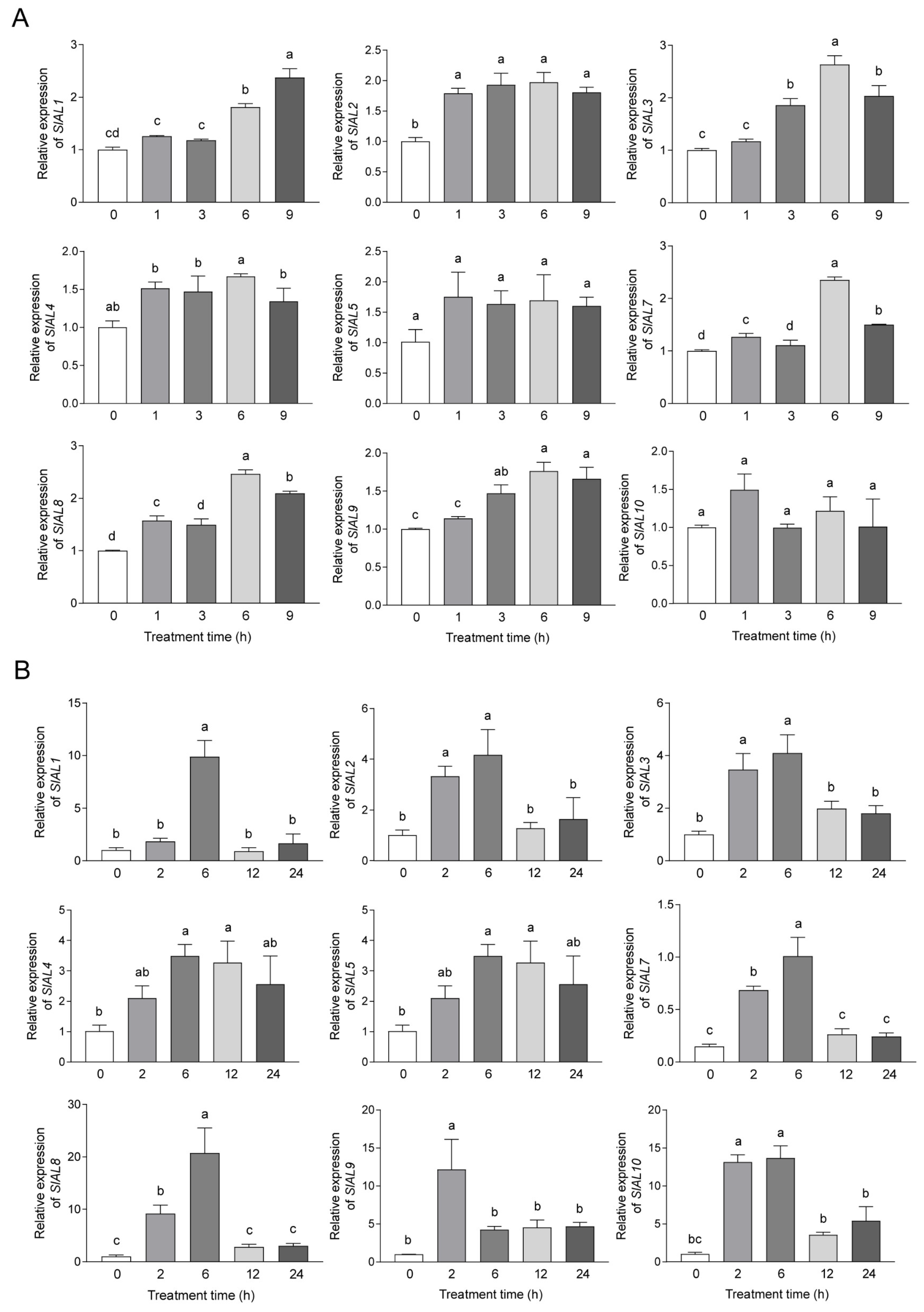 Plants 12 02829 g008