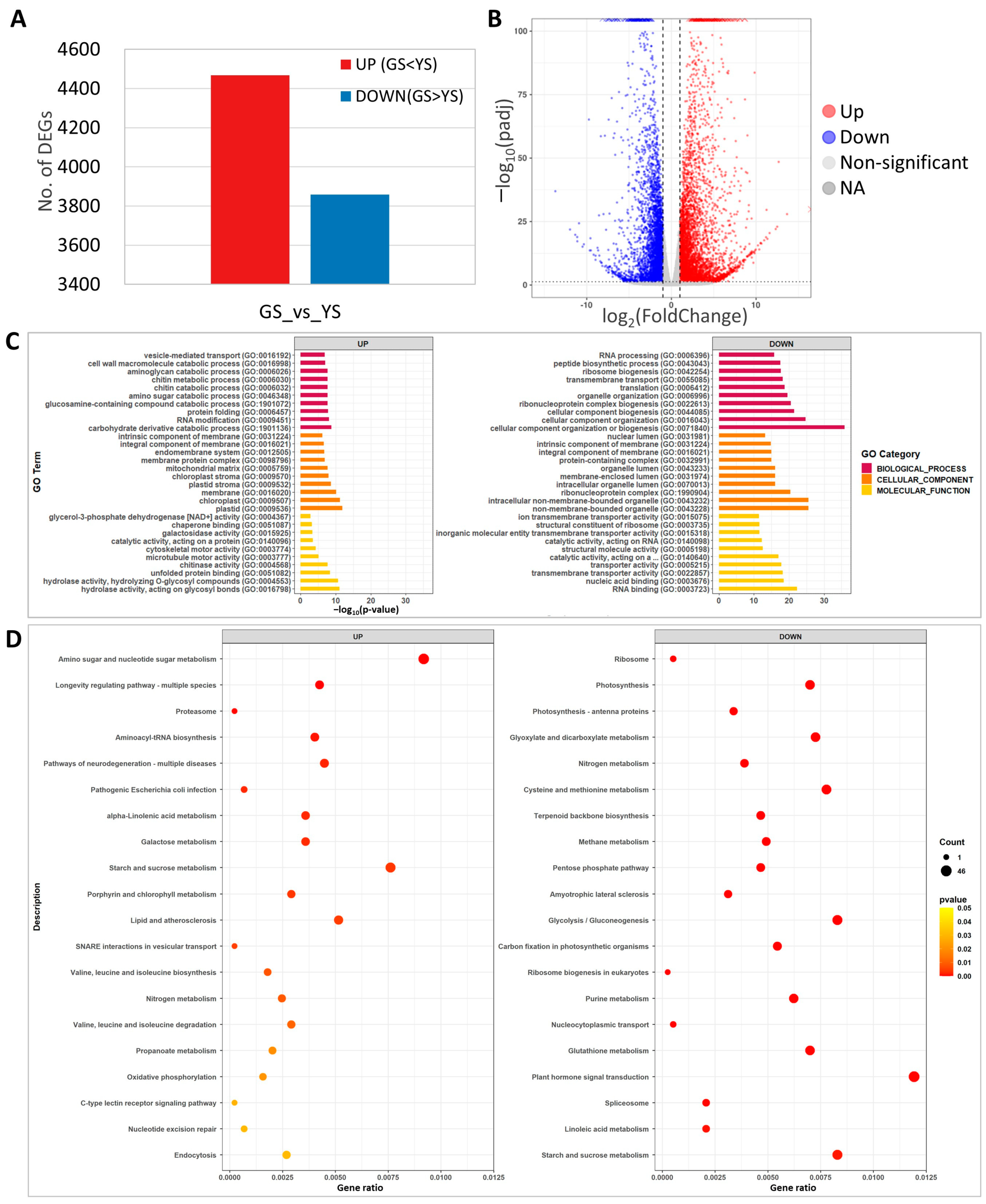 Plants 12 02831 g007 Plants 12 02831 g007