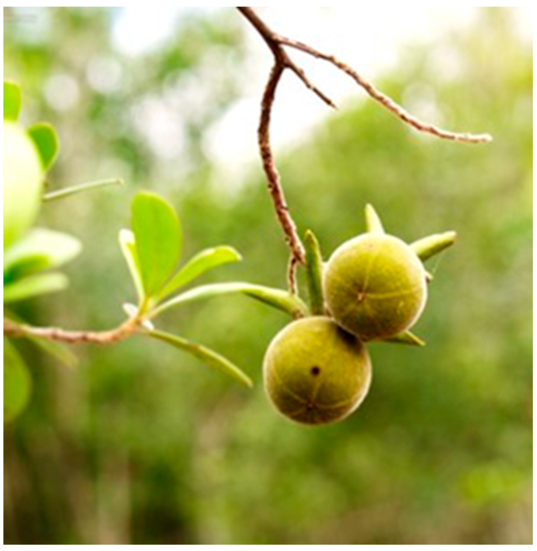 Plants 12 02833 g006 Plants 12 02833 g006