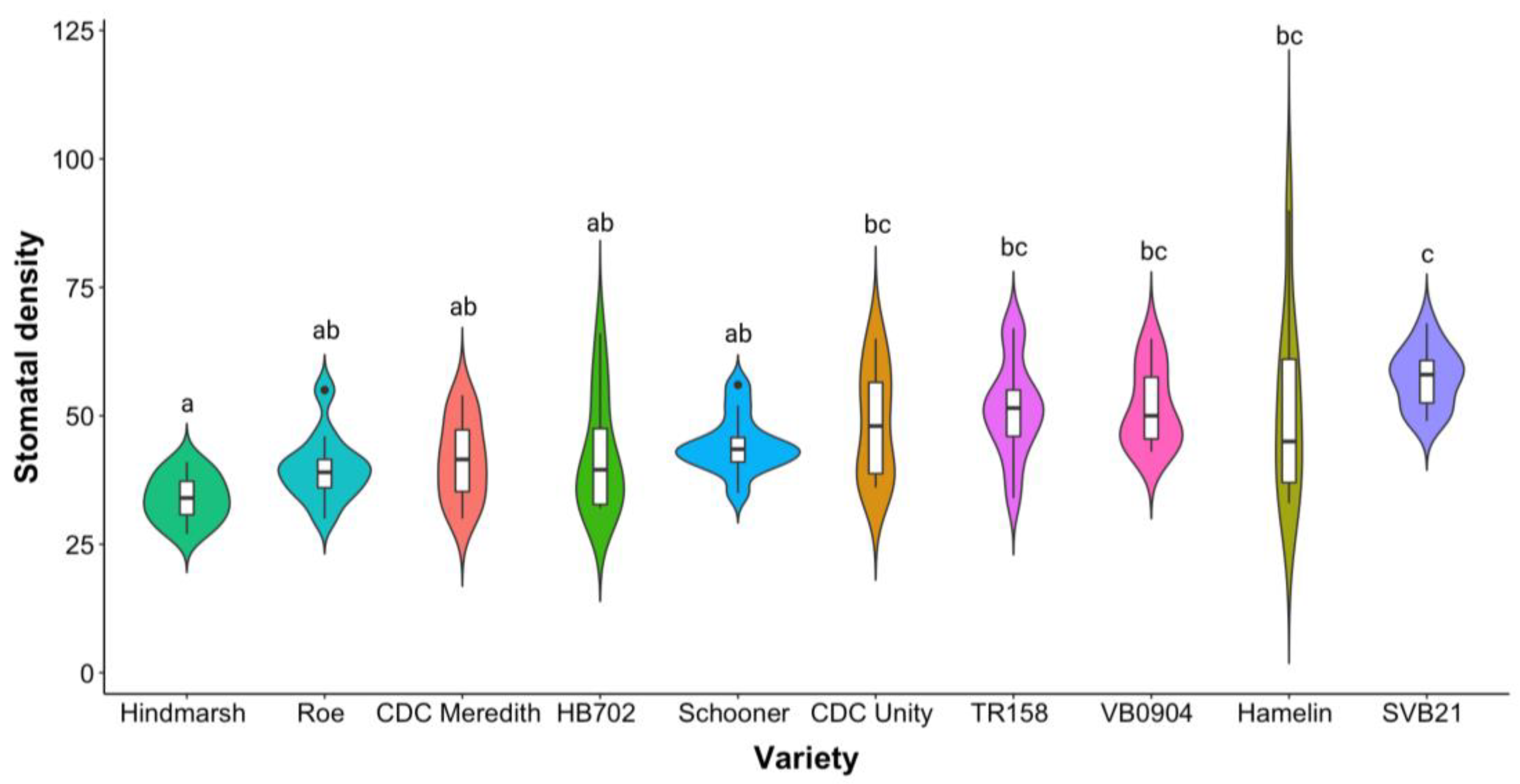 Plants 12 02840 g002 Plants 12 02840 g002