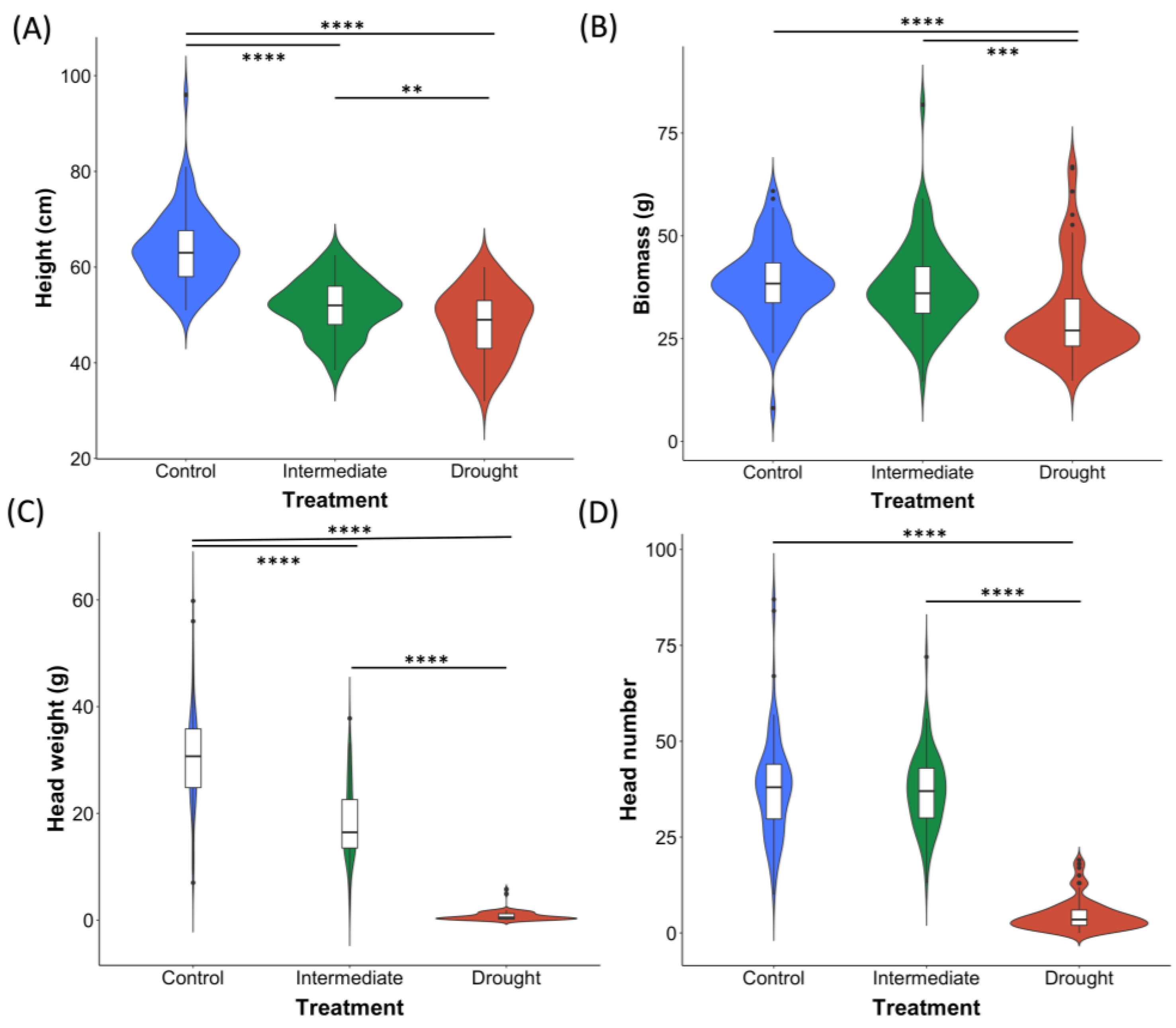 Plants 12 02840 g004 Plants 12 02840 g004