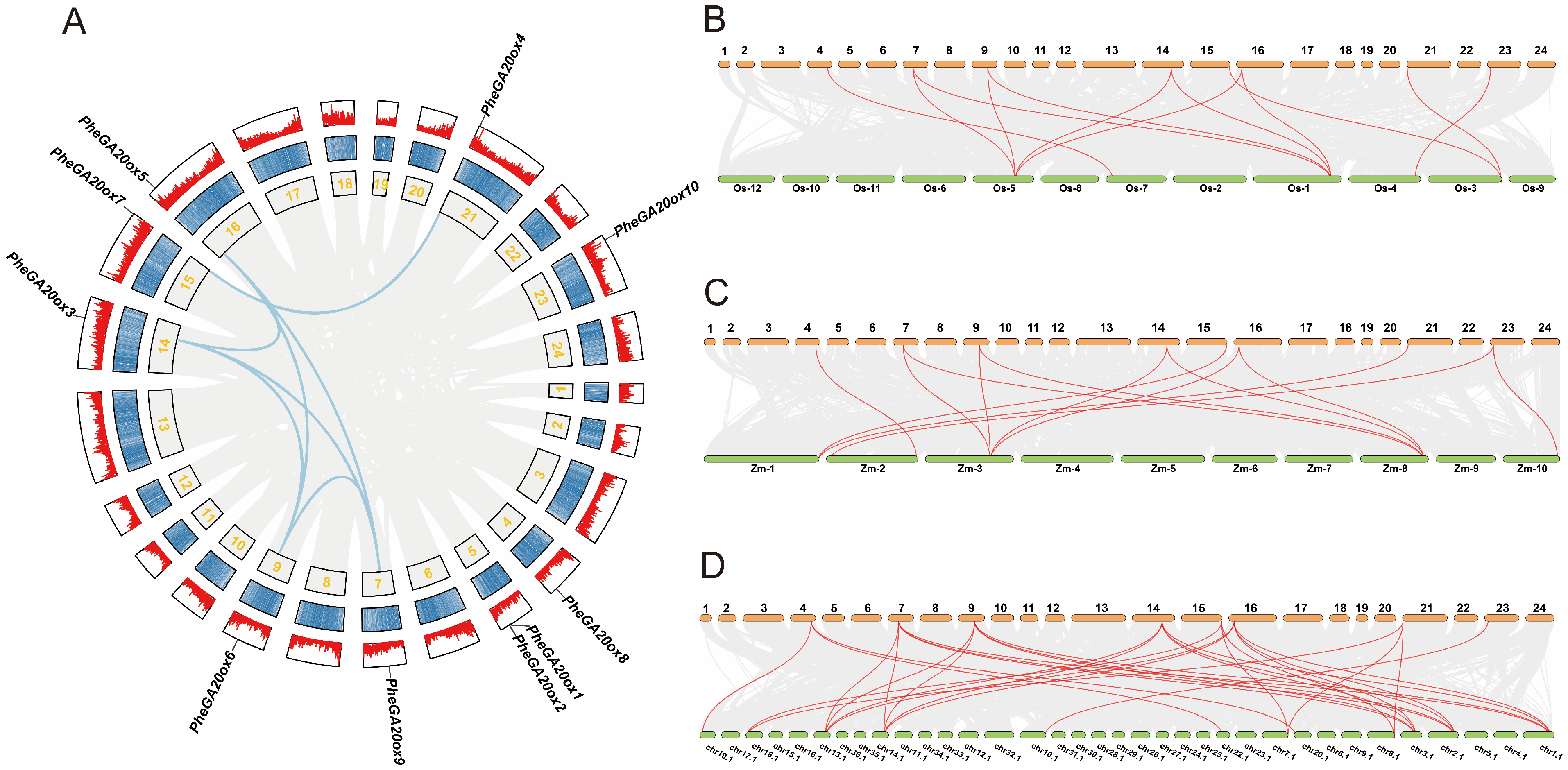 Plants 12 02842 g001 Plants 12 02842 g001