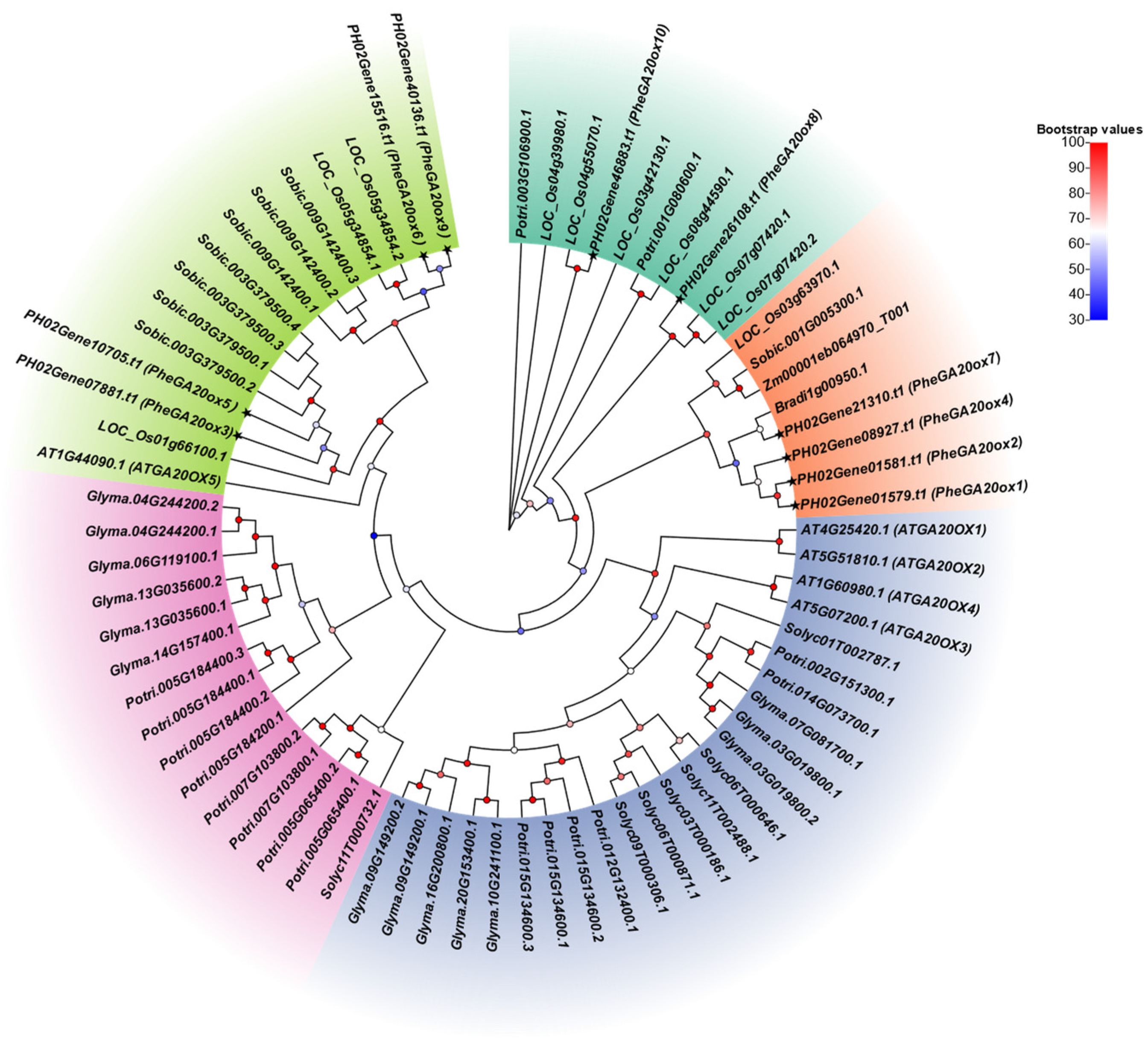 Plants 12 02842 g002 Plants 12 02842 g002