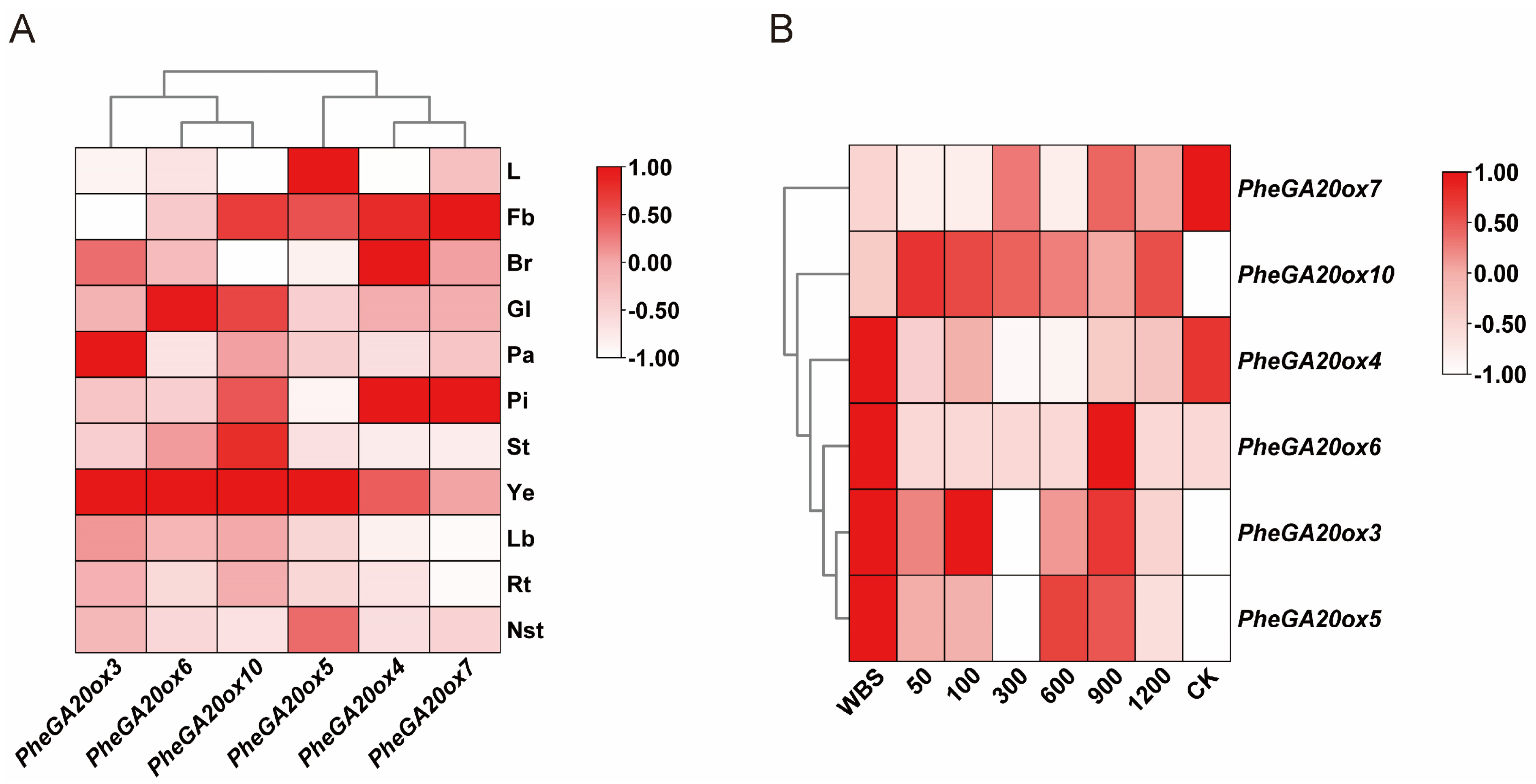 Plants 12 02842 g004 Plants 12 02842 g004
