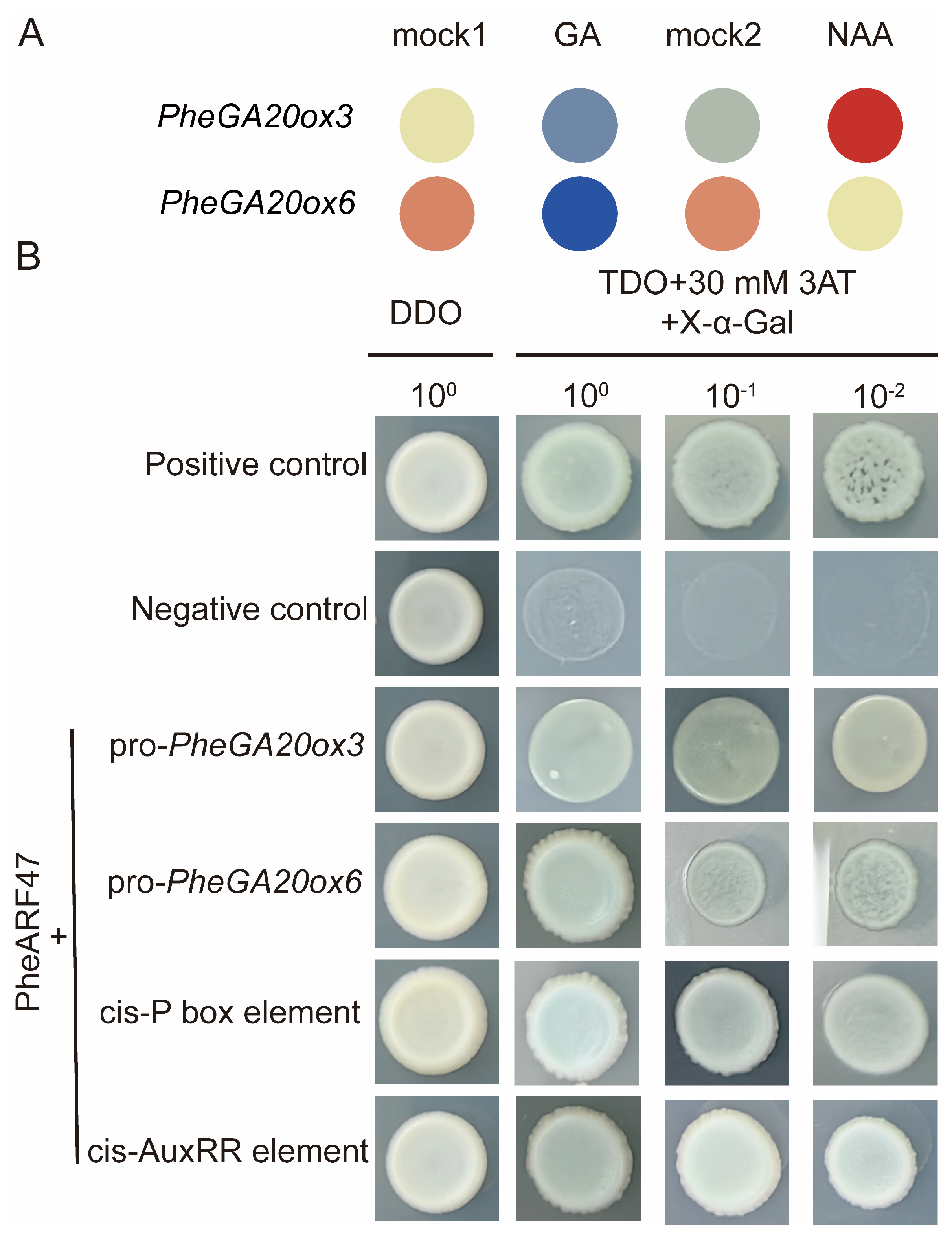 Plants 12 02842 g006 Plants 12 02842 g006