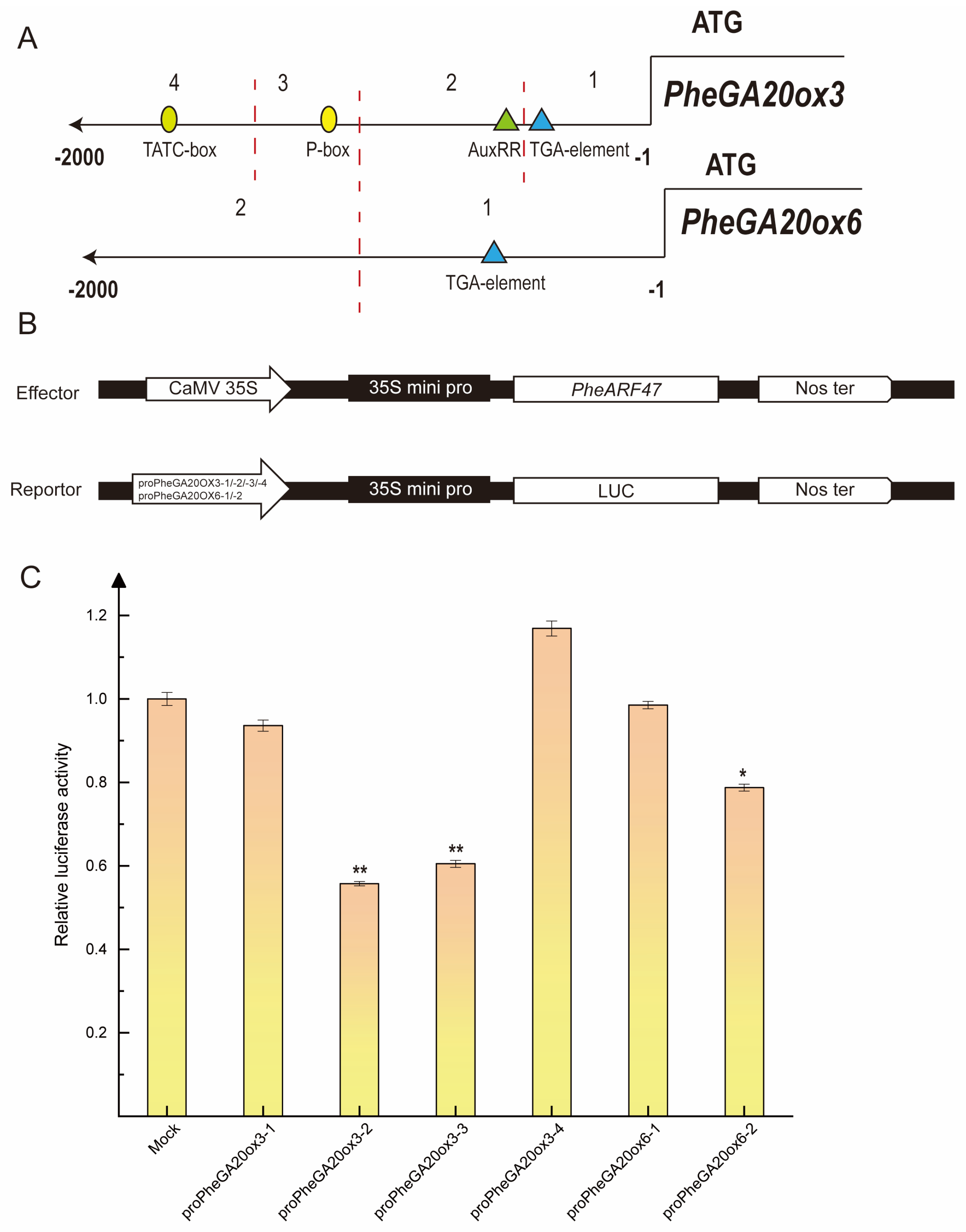 Plants 12 02842 g007 Plants 12 02842 g007
