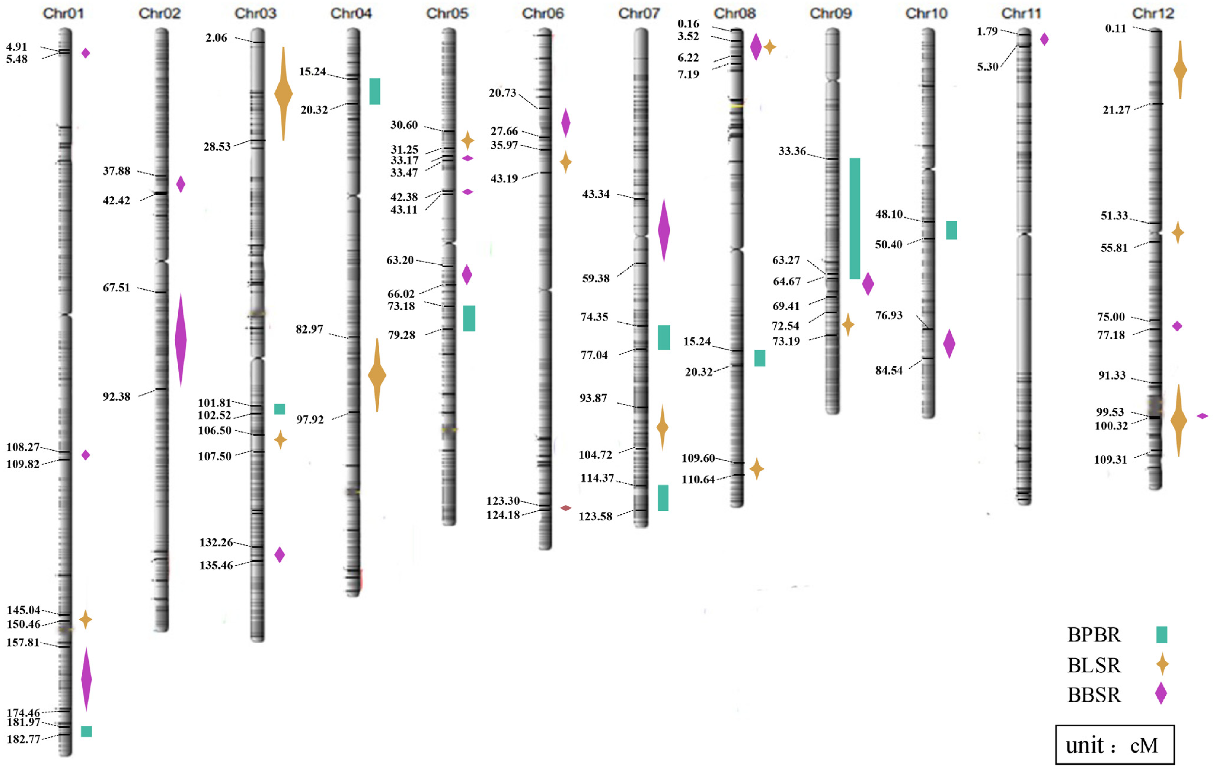 Plants 12 02853 g002