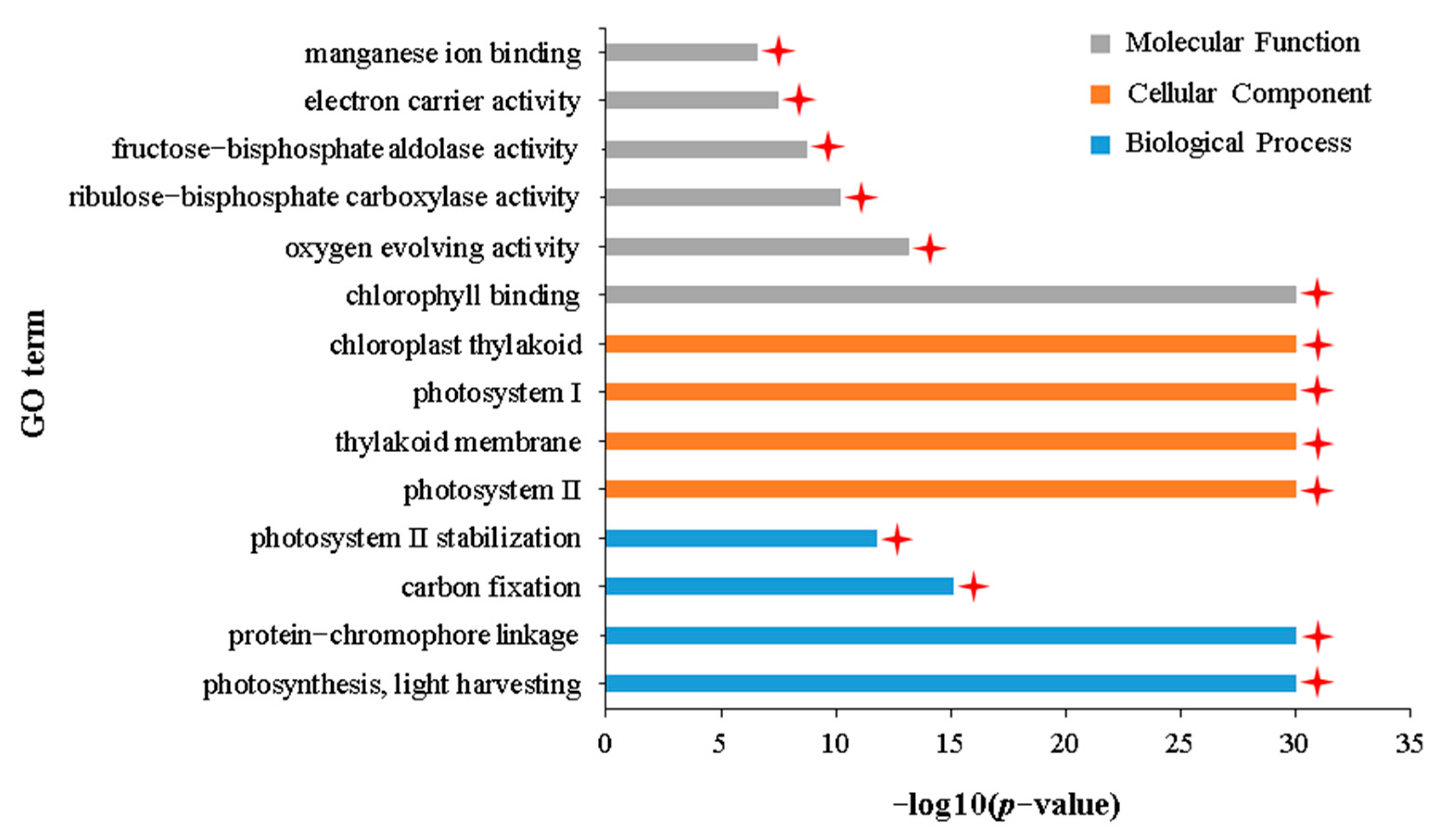Plants 12 02855 g007 Plants 12 02855 g007