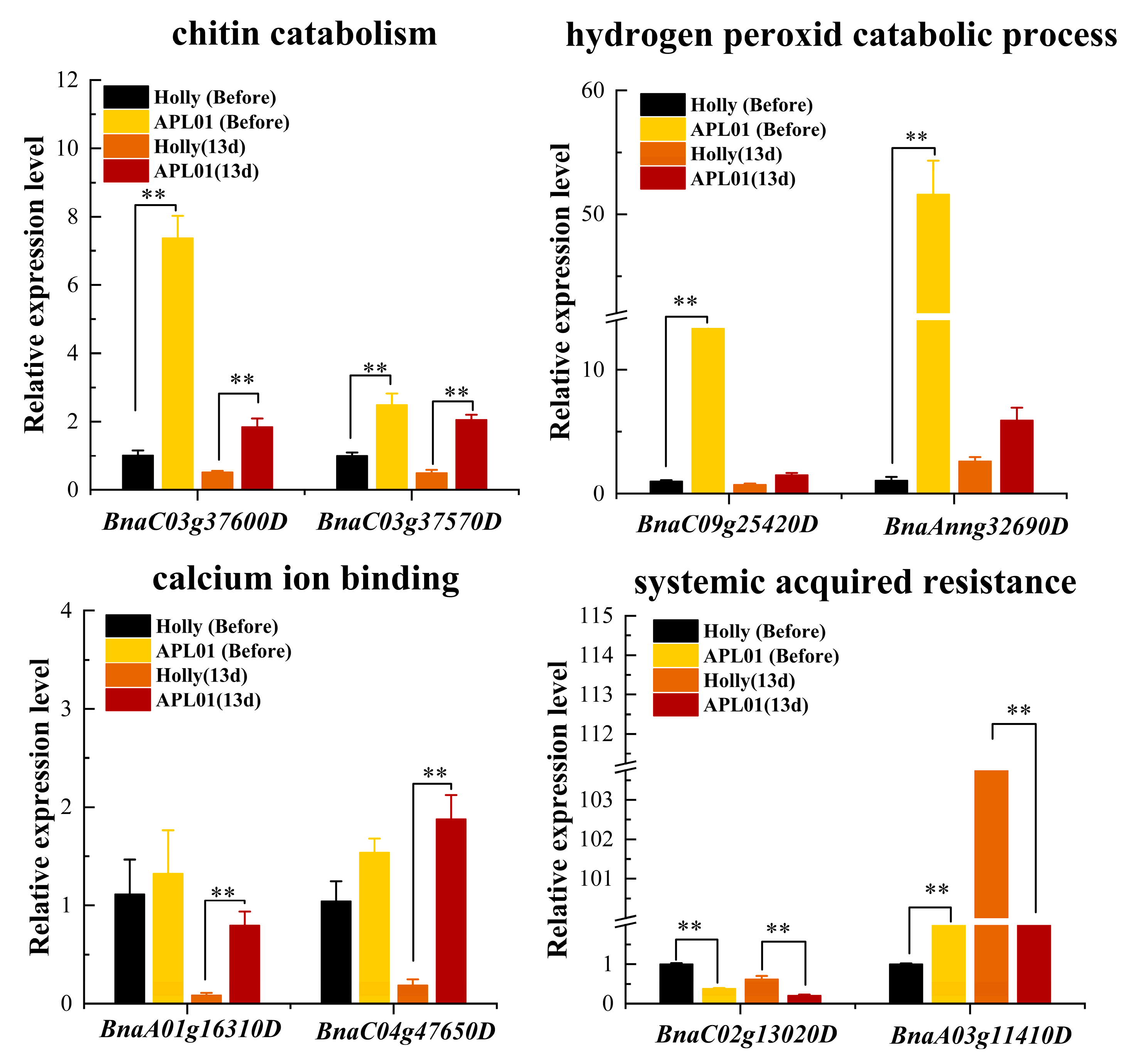 Plants 12 02855 g010 Plants 12 02855 g010