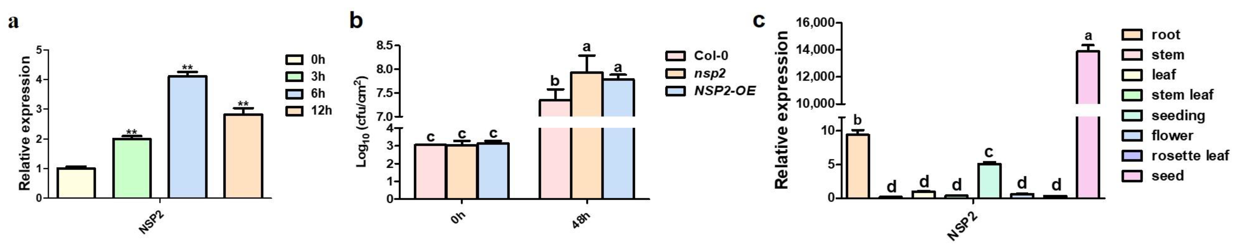 Plants 12 02857 g001 Plants 12 02857 g001