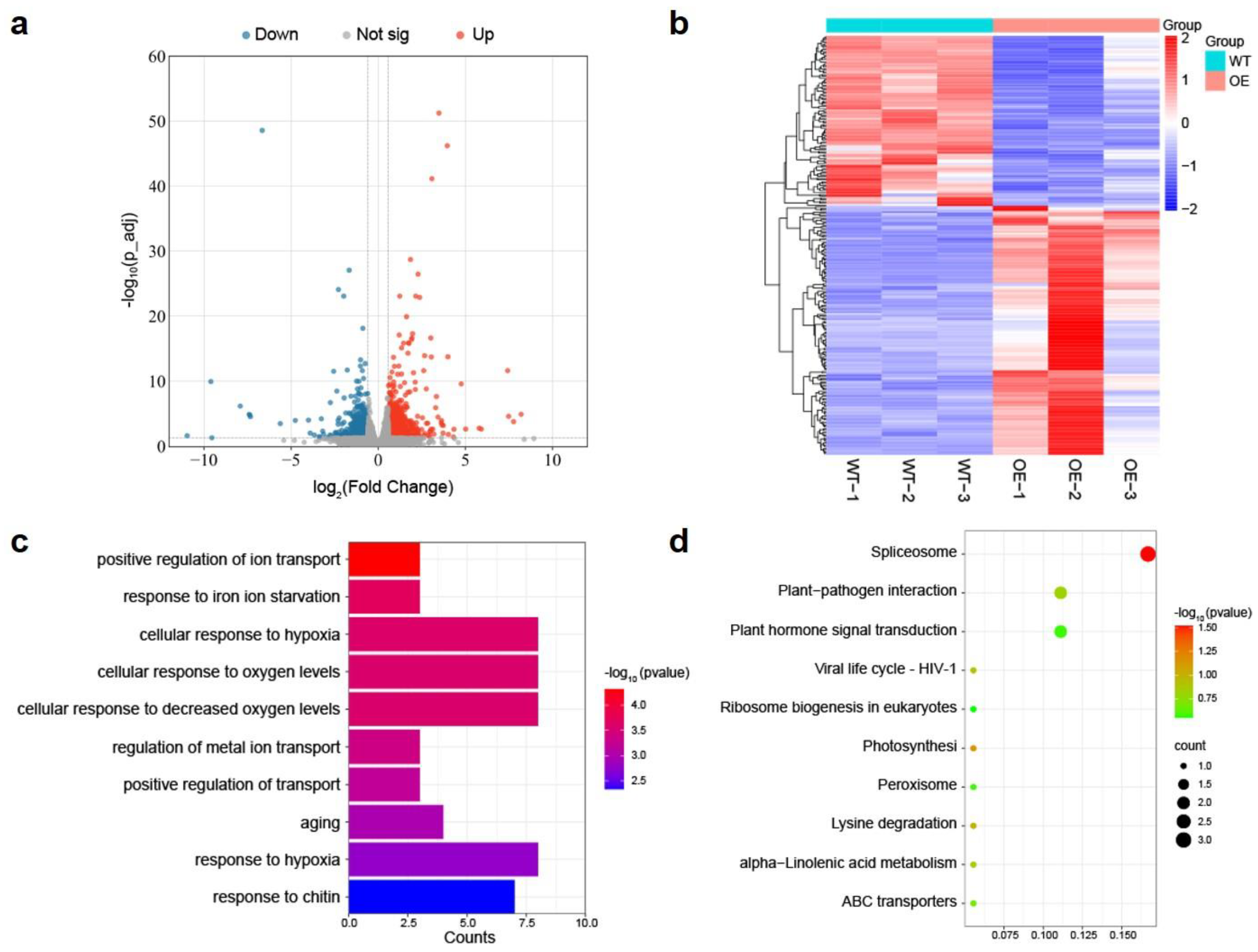 Plants 12 02857 g002 Plants 12 02857 g002