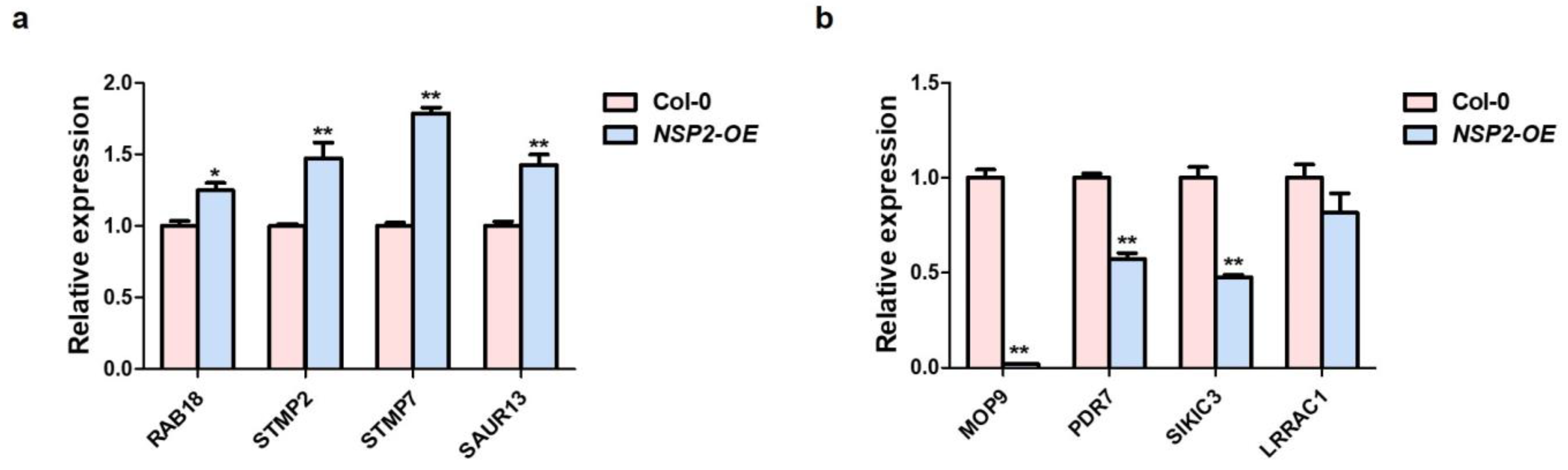 Plants 12 02857 g003 Plants 12 02857 g003