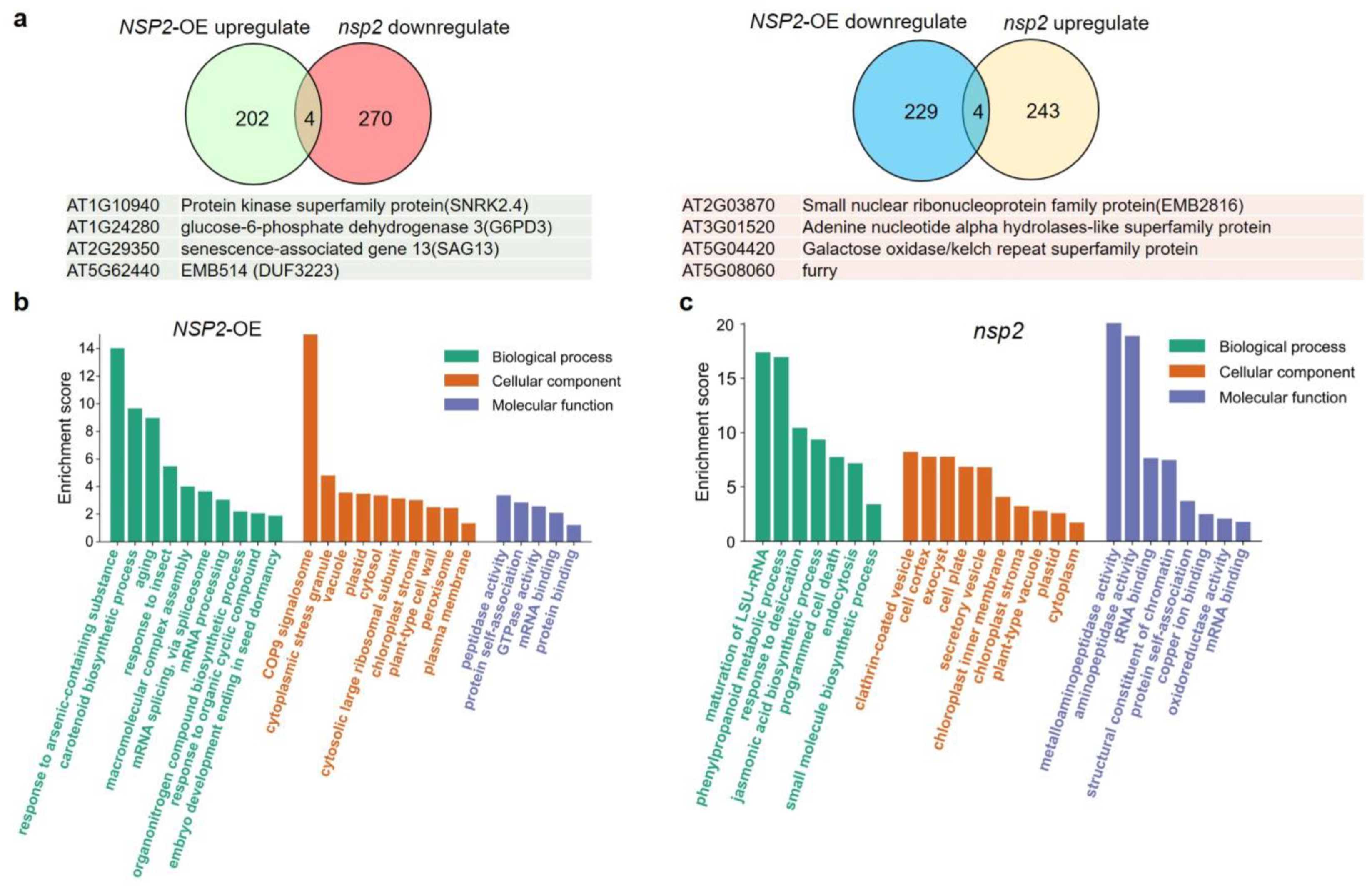 Plants 12 02857 g004 Plants 12 02857 g004