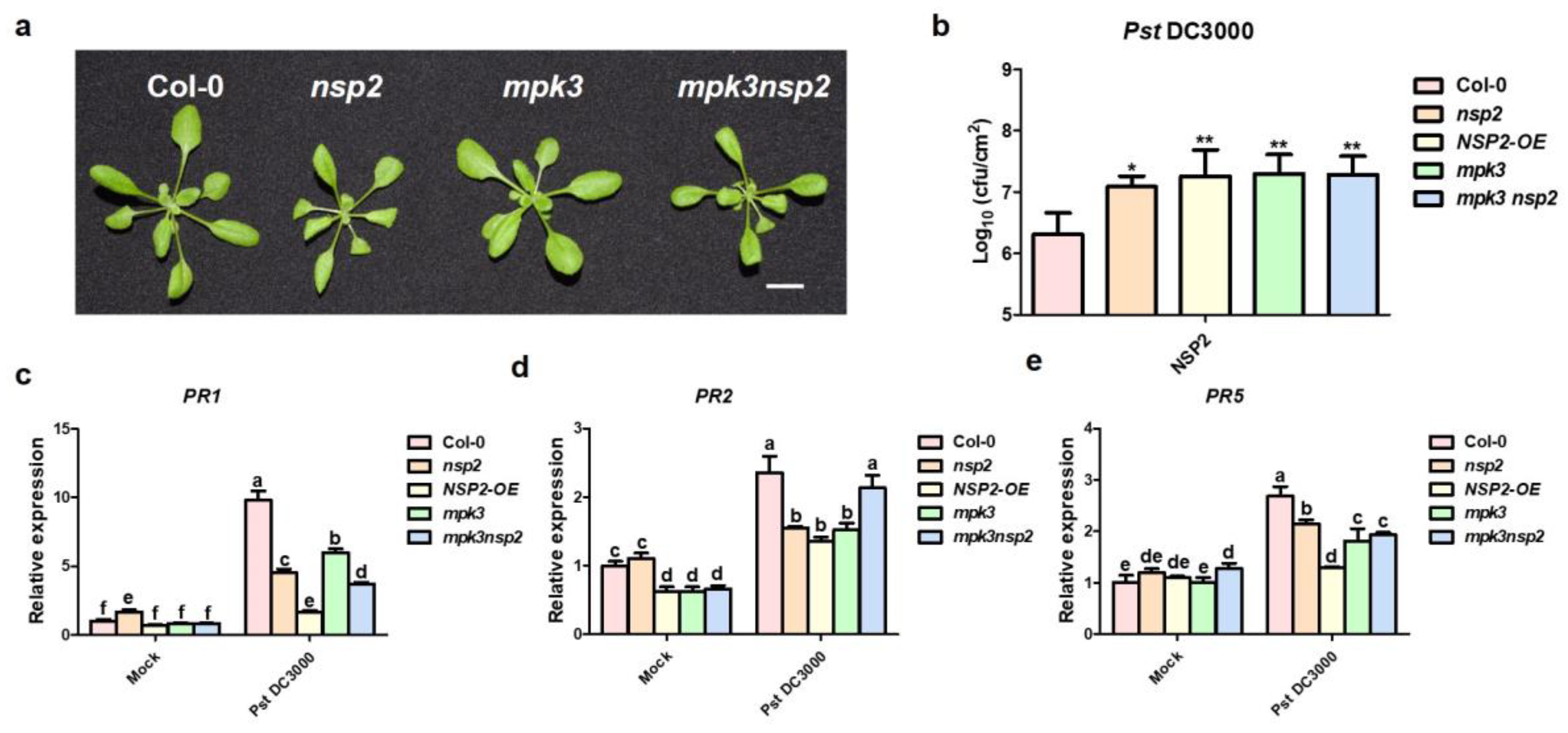 Plants 12 02857 g006 Plants 12 02857 g006