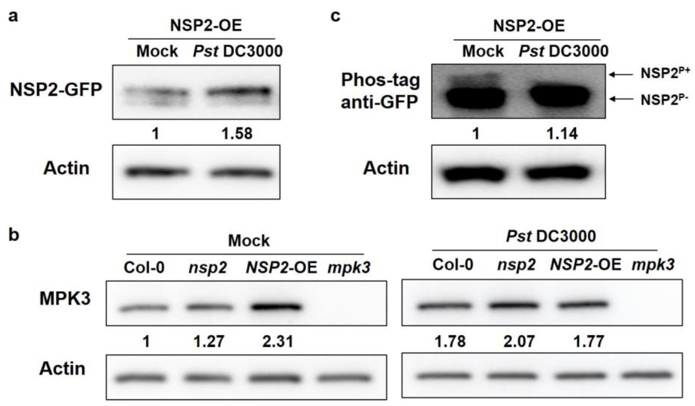 Plants 12 02857 g008 Plants 12 02857 g008