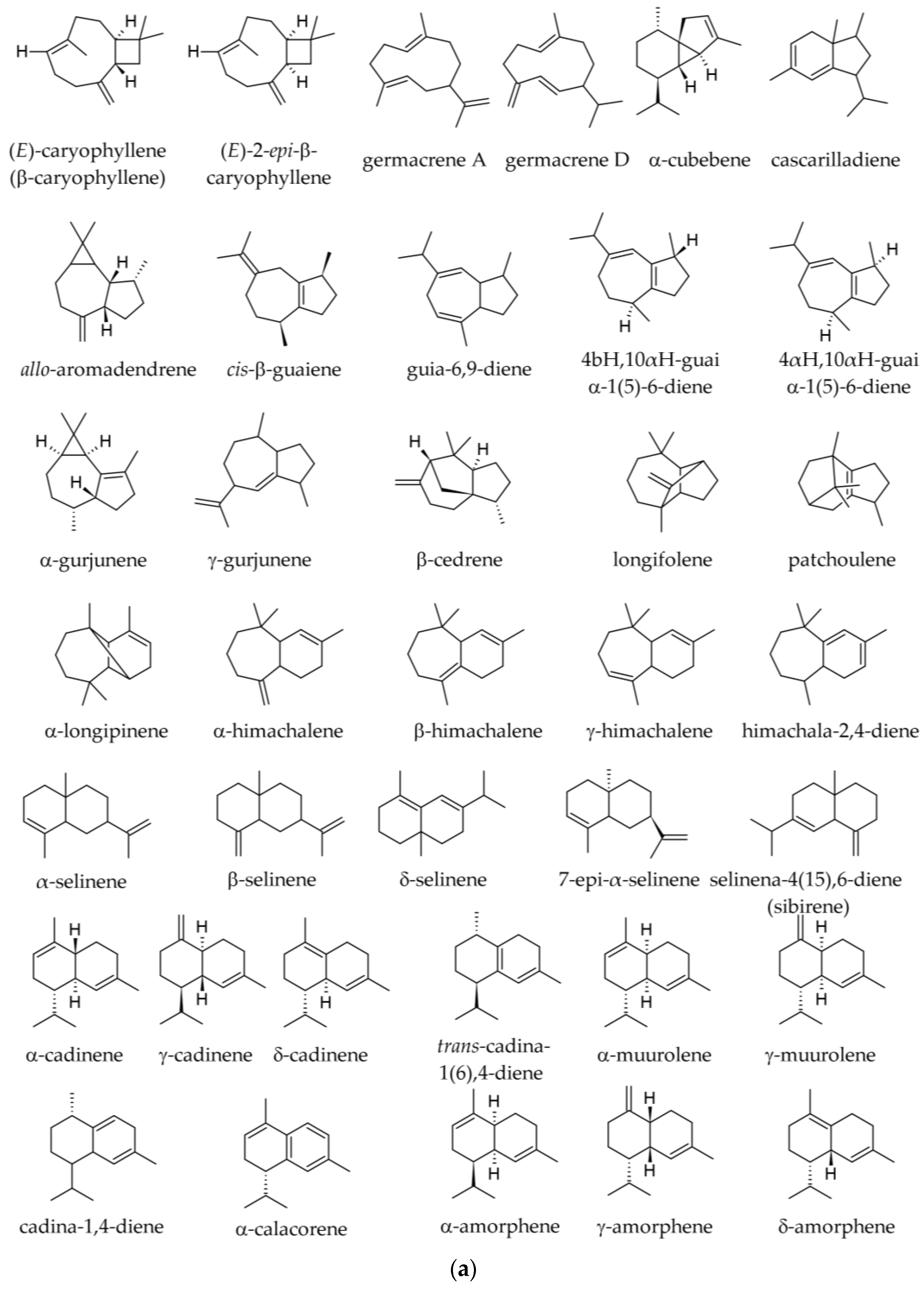 Plants 12 02860 g005a Plants 12 02860 g005a